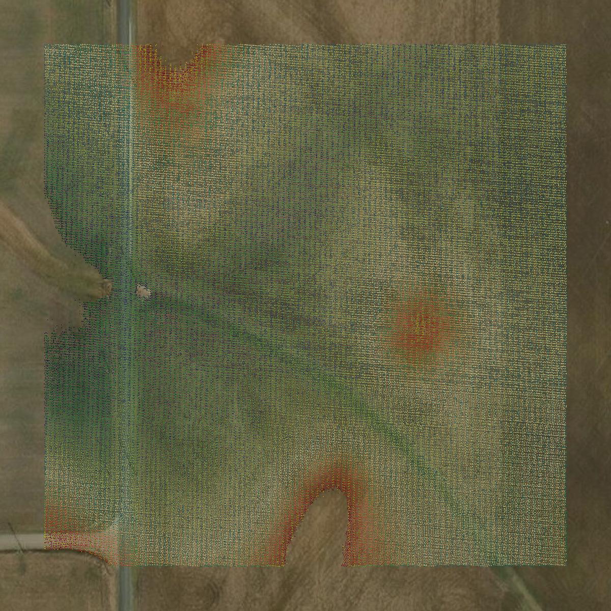 This image shows a LiDAR point cloud in Decatur County created using GIS data in Equator.