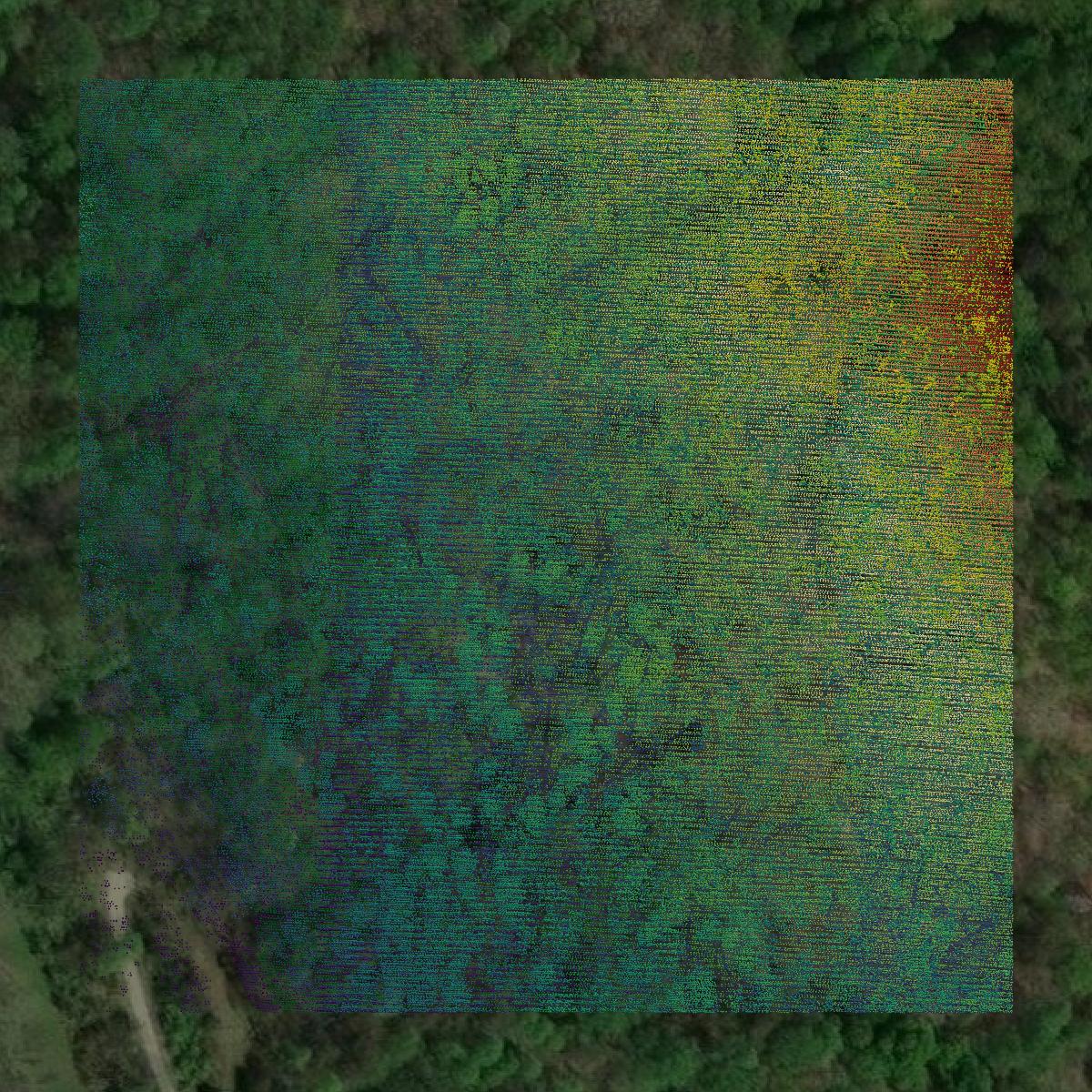 This image shows a LiDAR point cloud in Floyd County created using GIS data in Equator.
