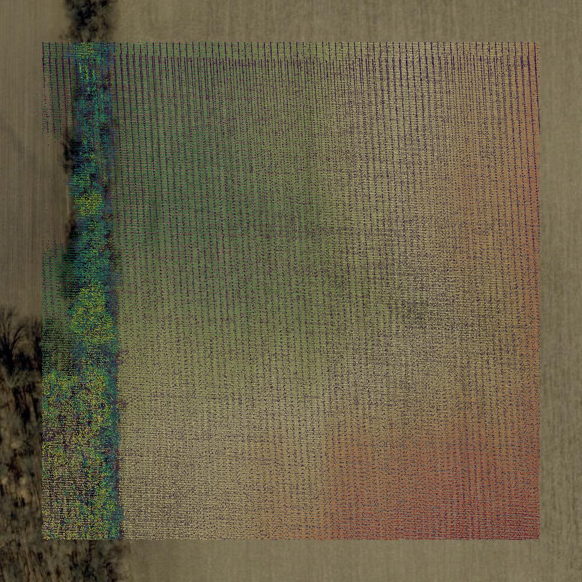 This image shows a LiDAR point cloud in Fountain County created using GIS data in Equator.