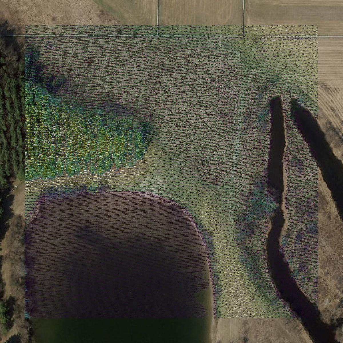 This image shows a LiDAR point cloud in Fulton County created using GIS data in Equator.