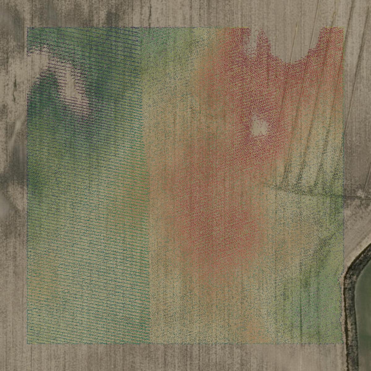 This image shows a LiDAR point cloud in Fulton County created using GIS data in Equator.