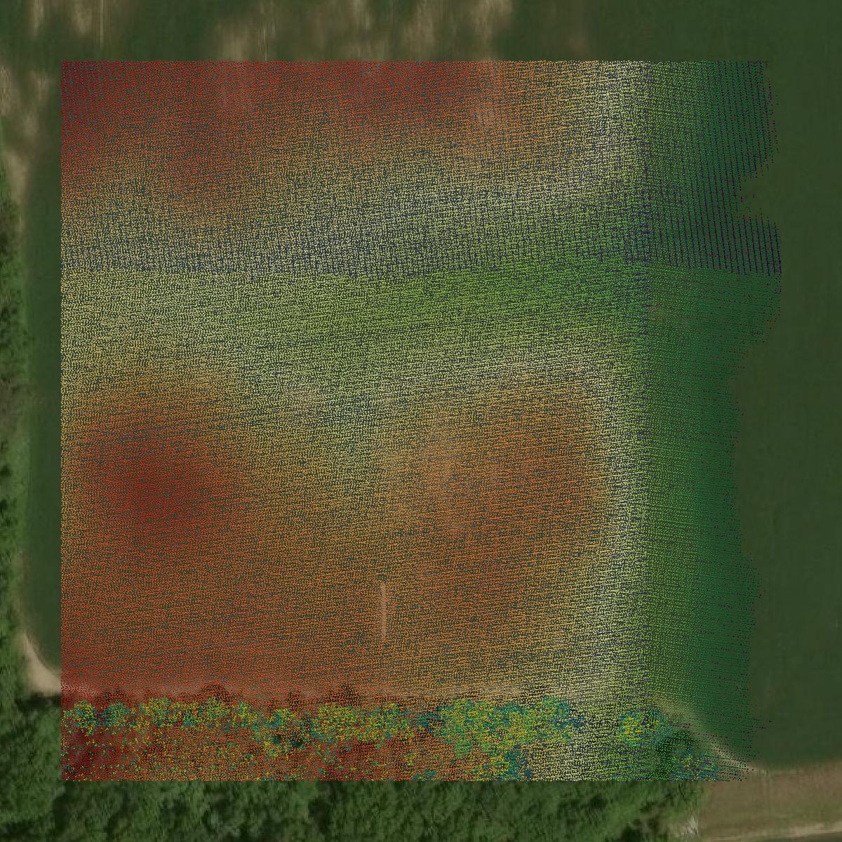 This image shows a LiDAR point cloud in Grant County created using GIS data in Equator.