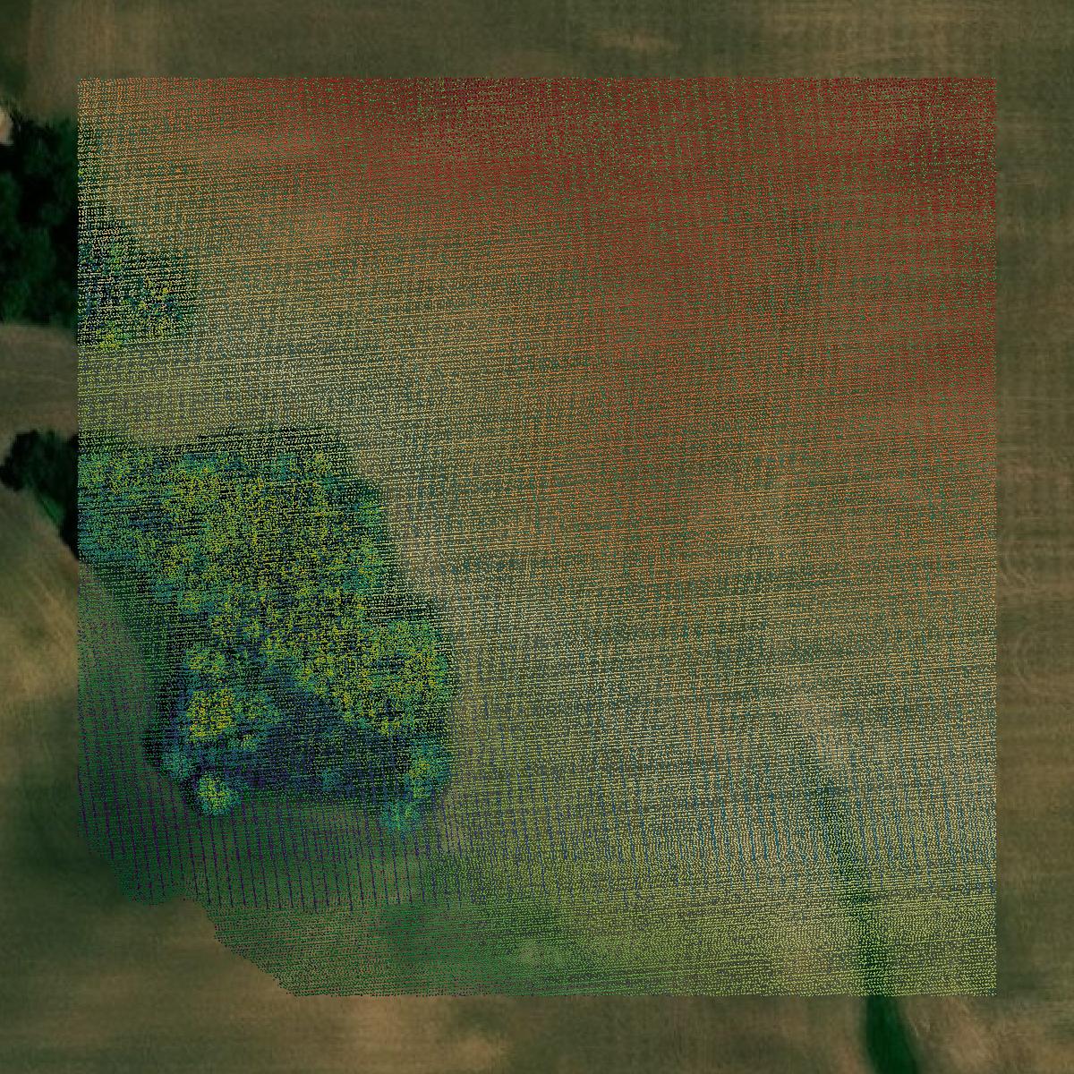 This image shows a LiDAR point cloud in Greene County created using GIS data in Equator.