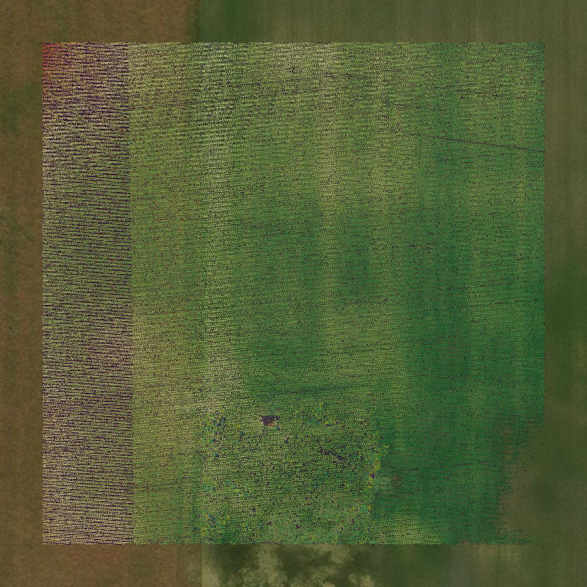 This image shows a LiDAR point cloud in Hancock County created using GIS data in Equator.