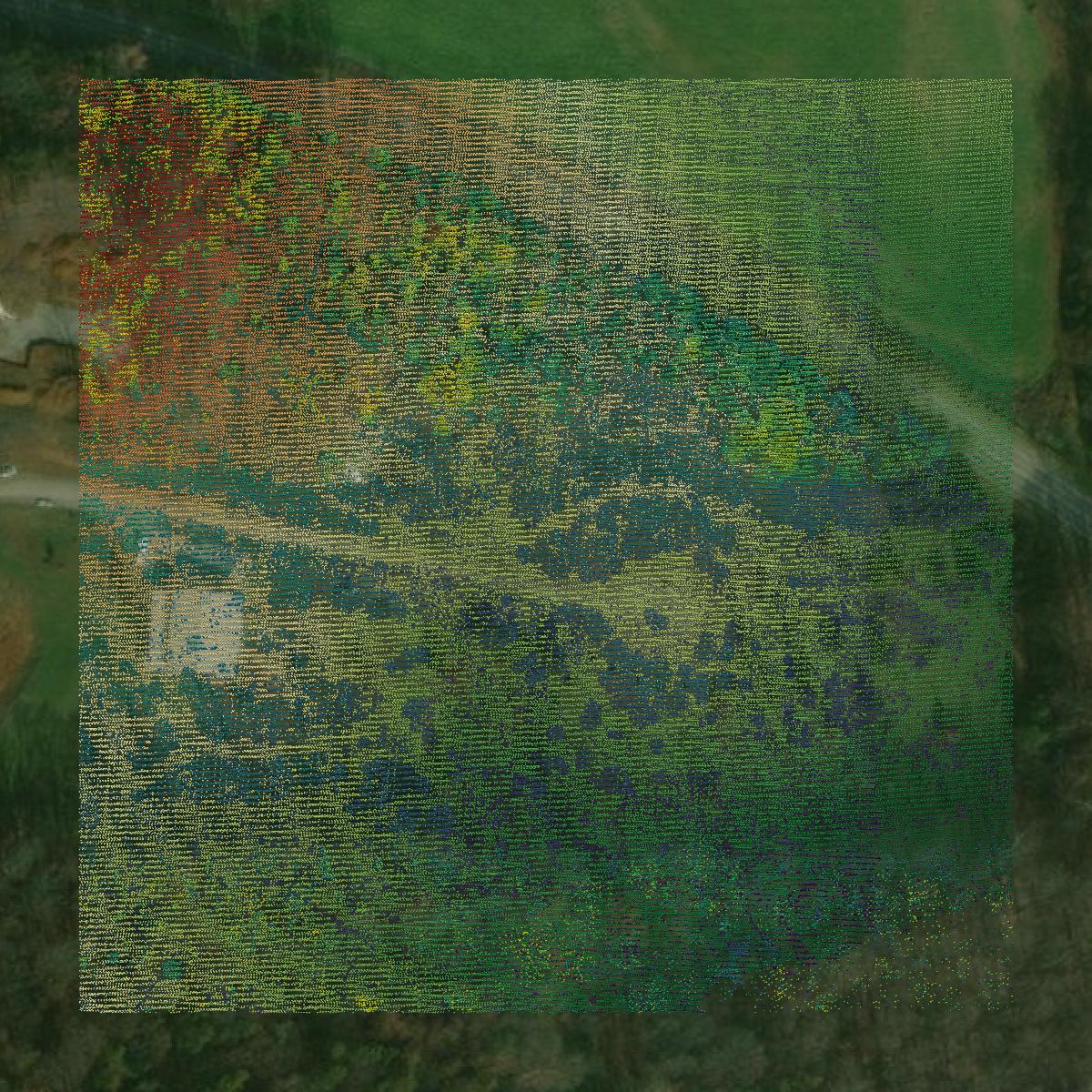 This image shows a LiDAR point cloud in Harrison County created using GIS data in Equator.