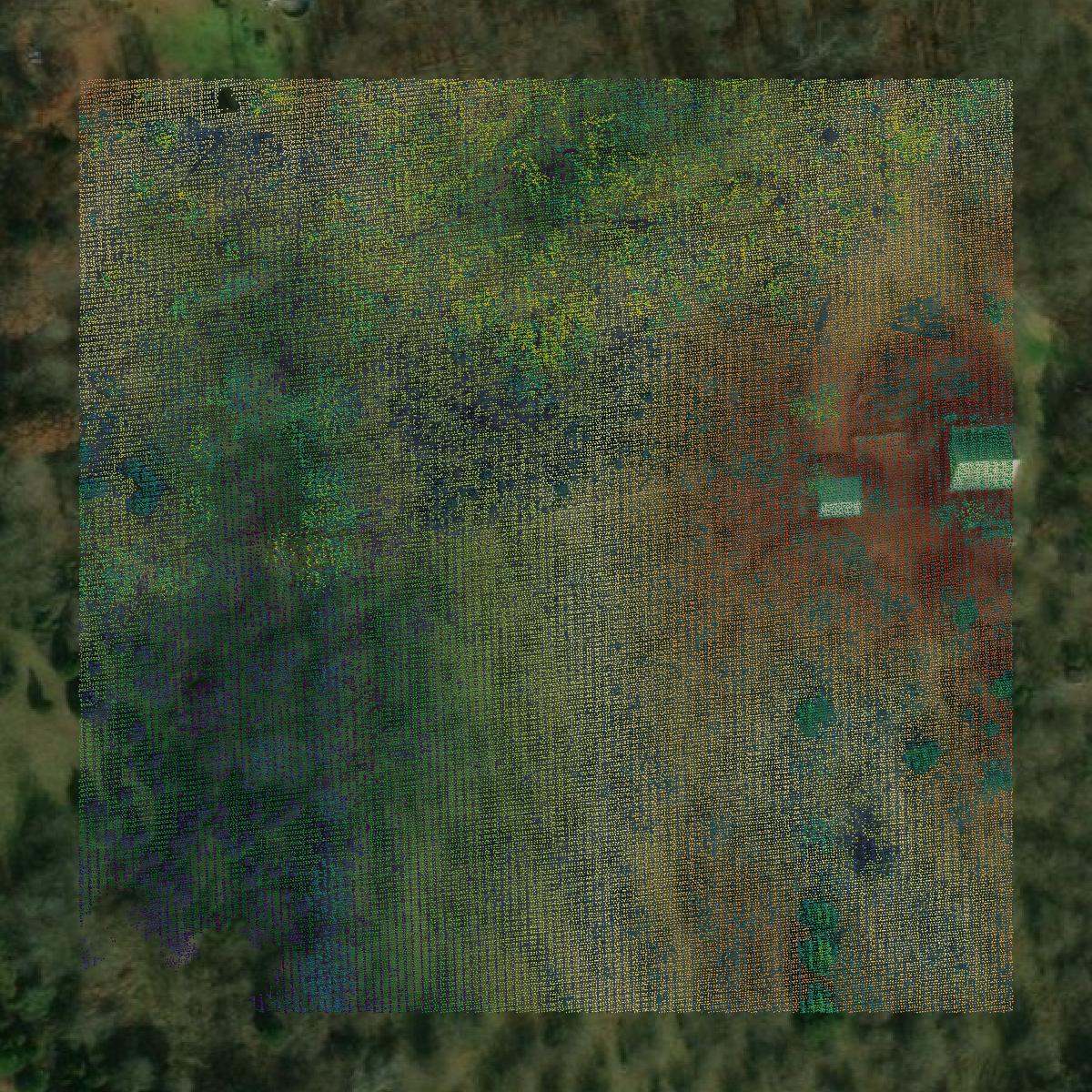 This image shows a LiDAR point cloud in Harrison County created using GIS data in Equator.