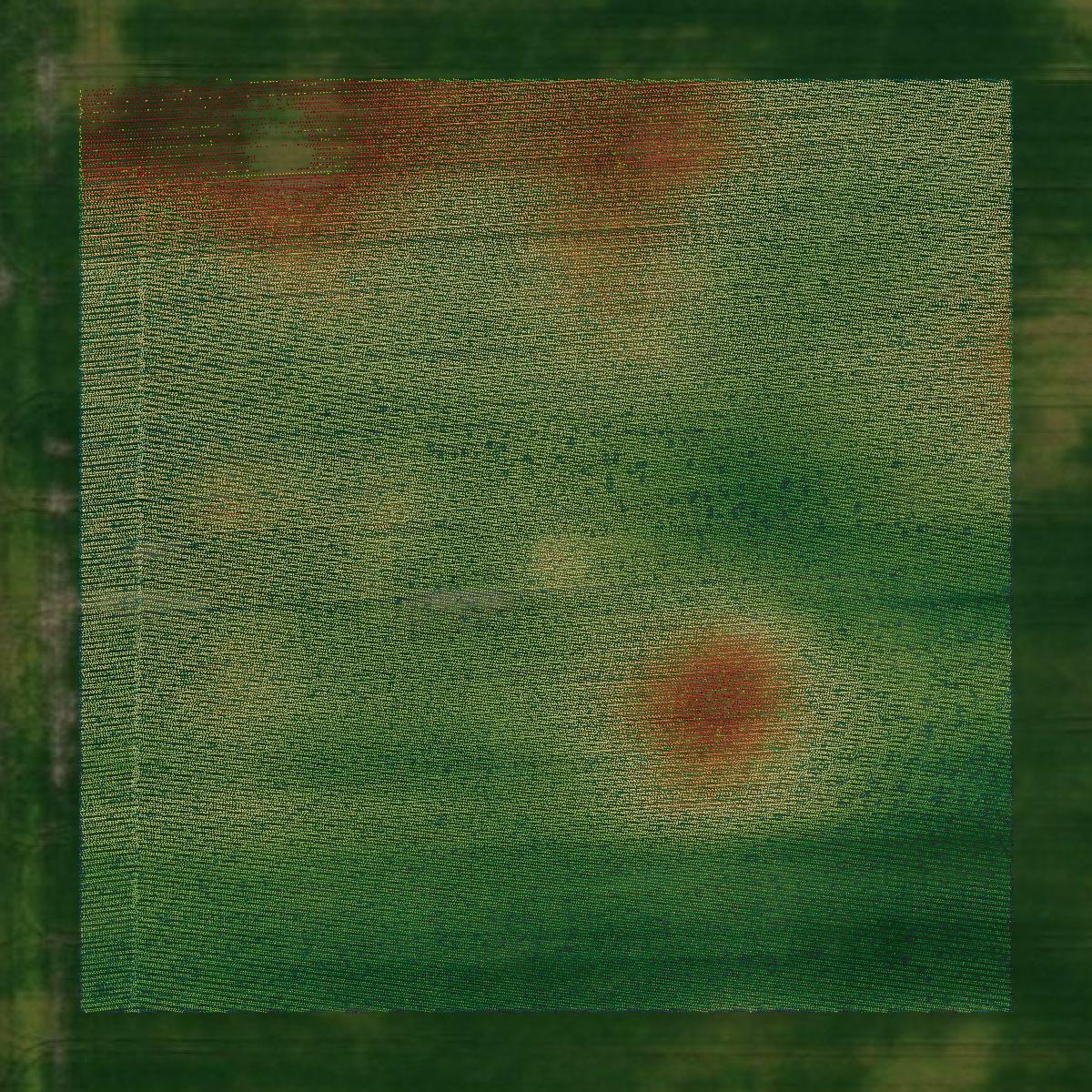 This image shows a LiDAR point cloud in Hendricks County created using GIS data in Equator.