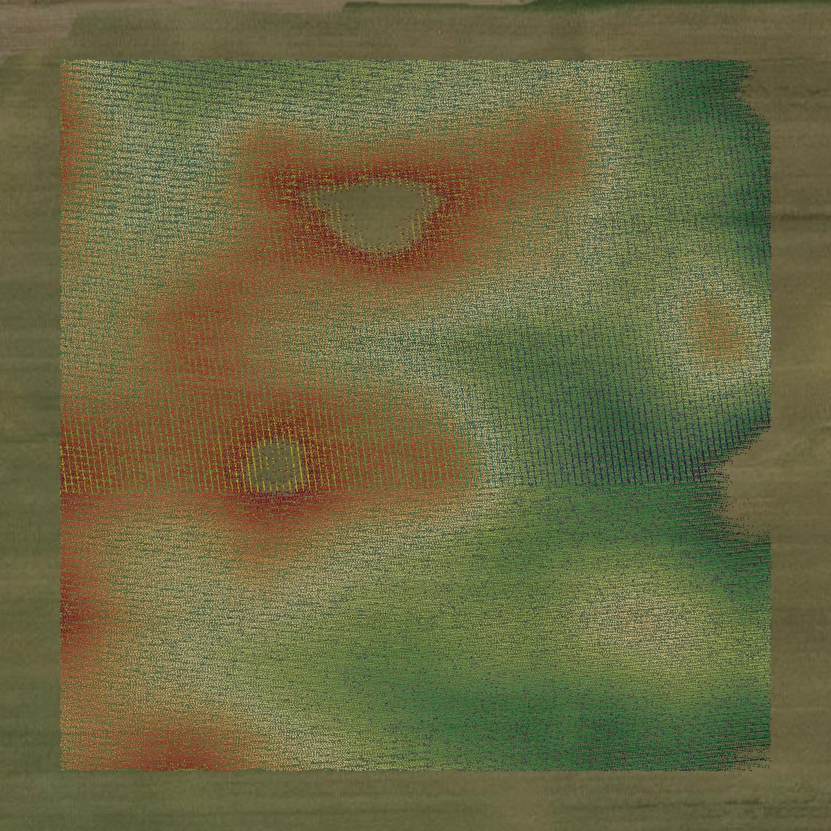 This image shows a LiDAR point cloud in Henry County created using GIS data in Equator.