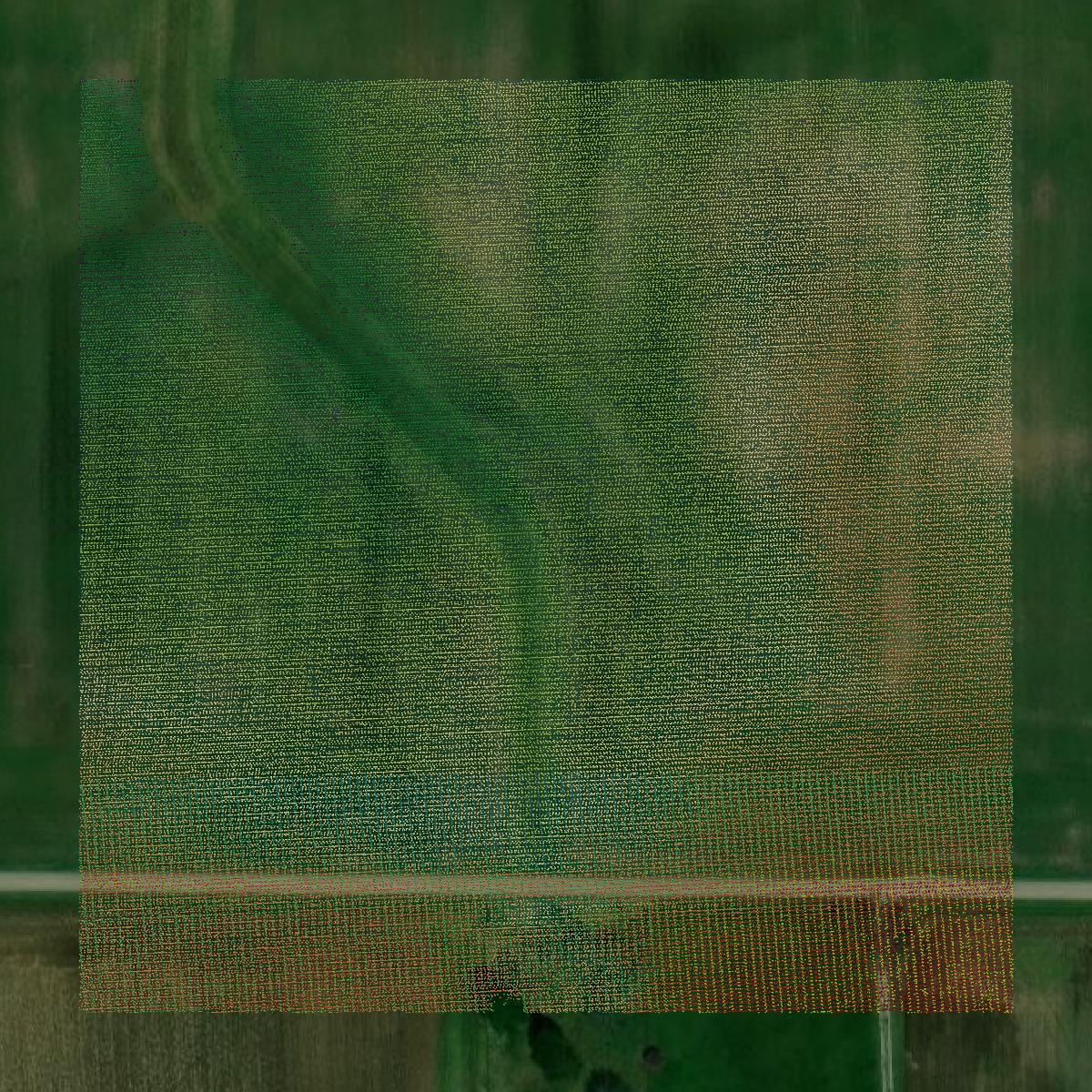 This image shows a LiDAR point cloud in Howard County created using GIS data in Equator.