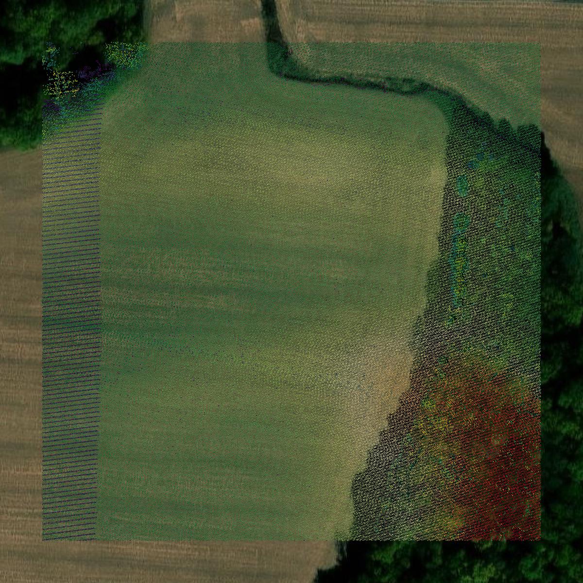 This image shows a LiDAR point cloud in Jackson County created using GIS data in Equator.