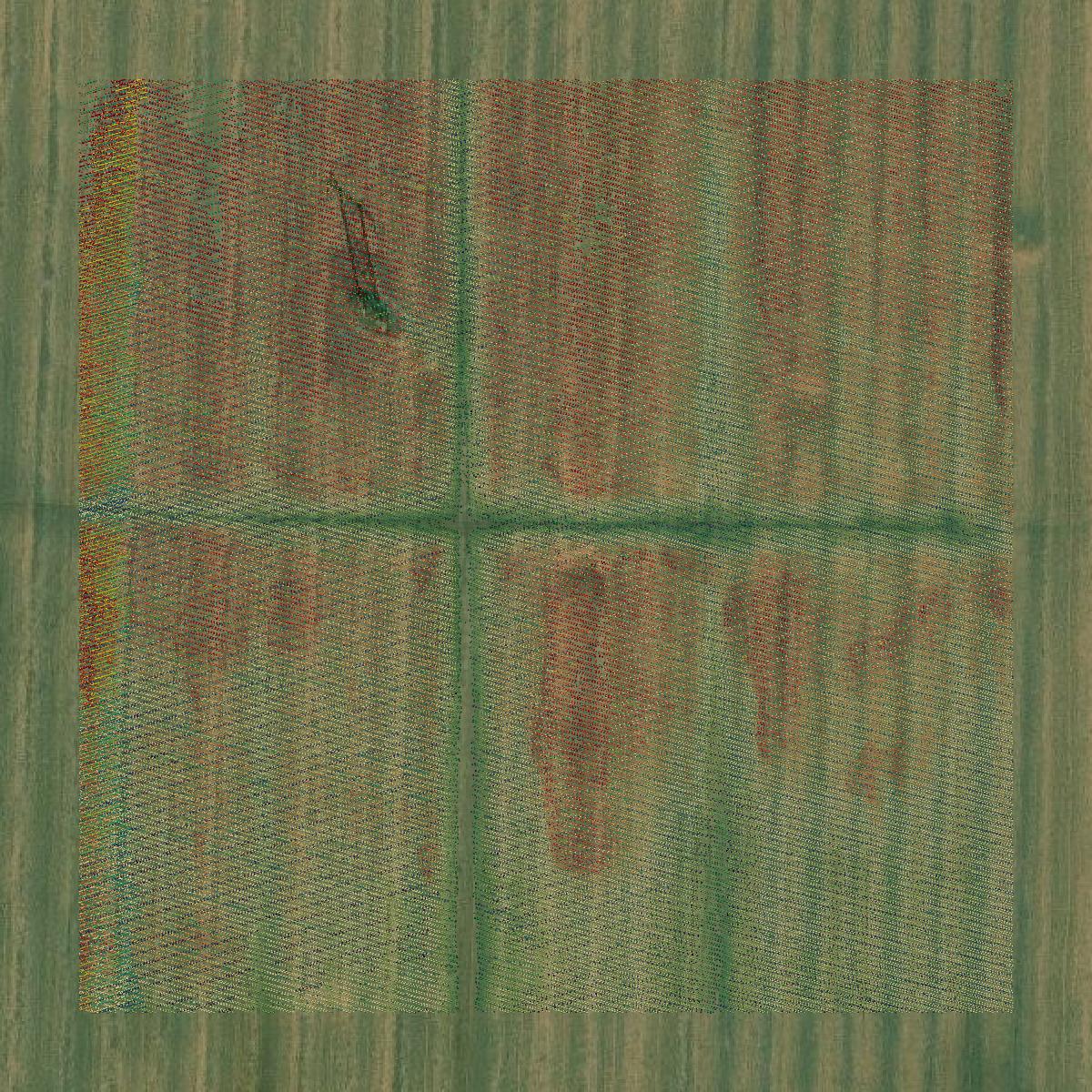 This image shows a LiDAR point cloud in Jackson County created using GIS data in Equator.