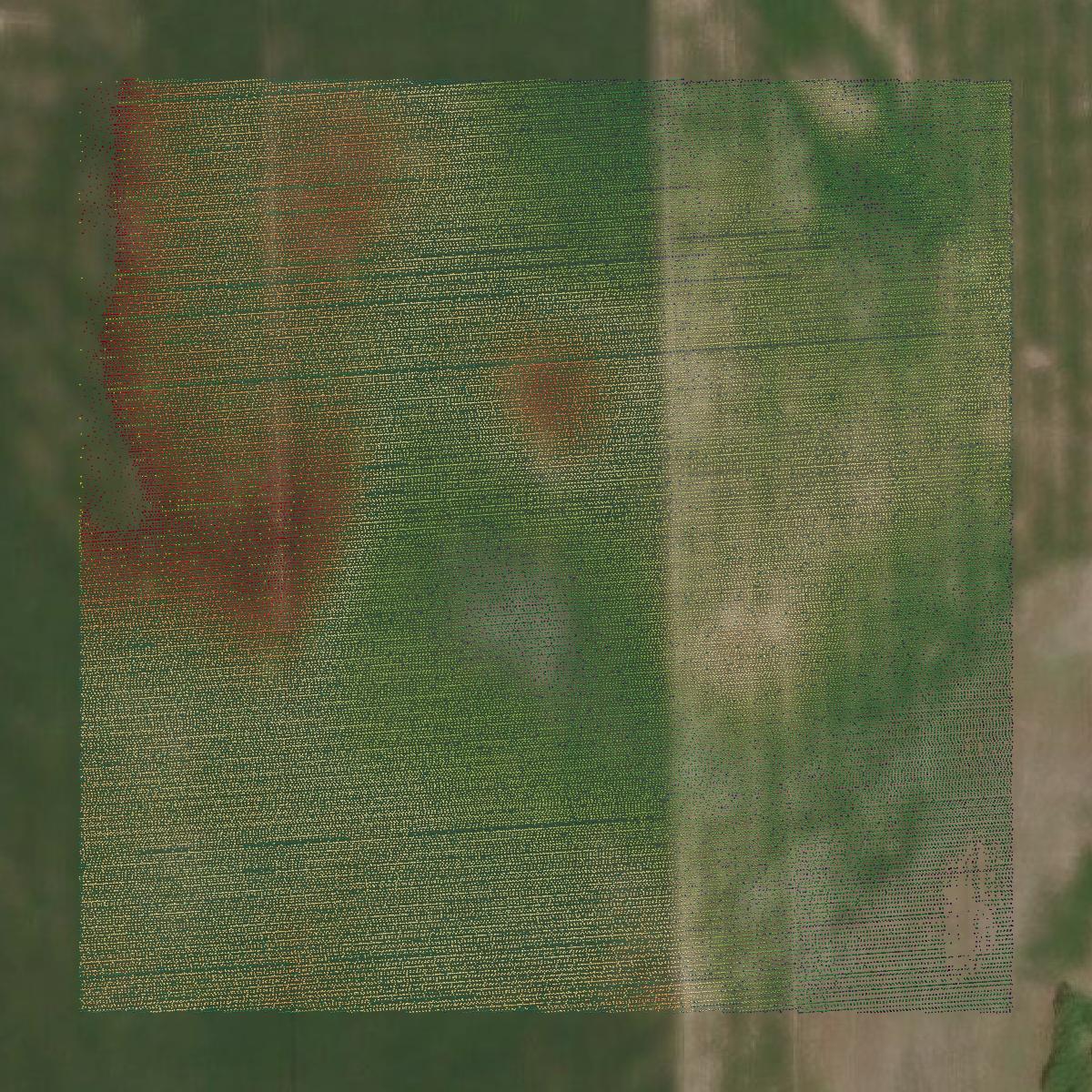 This image shows a LiDAR point cloud in Jay County created using GIS data in Equator.