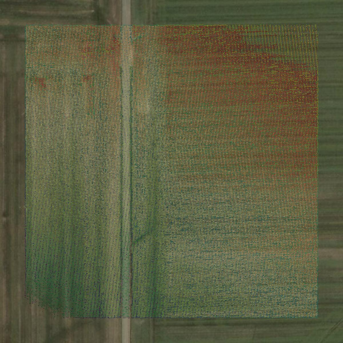 This image shows a LiDAR point cloud in Jennings County created using GIS data in Equator.