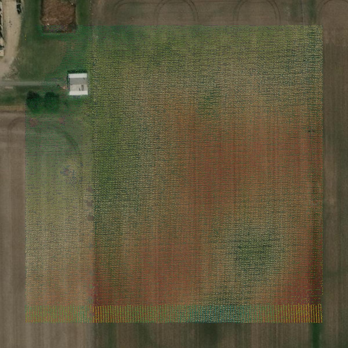 This image shows a LiDAR point cloud in LaGrange County created using GIS data in Equator.