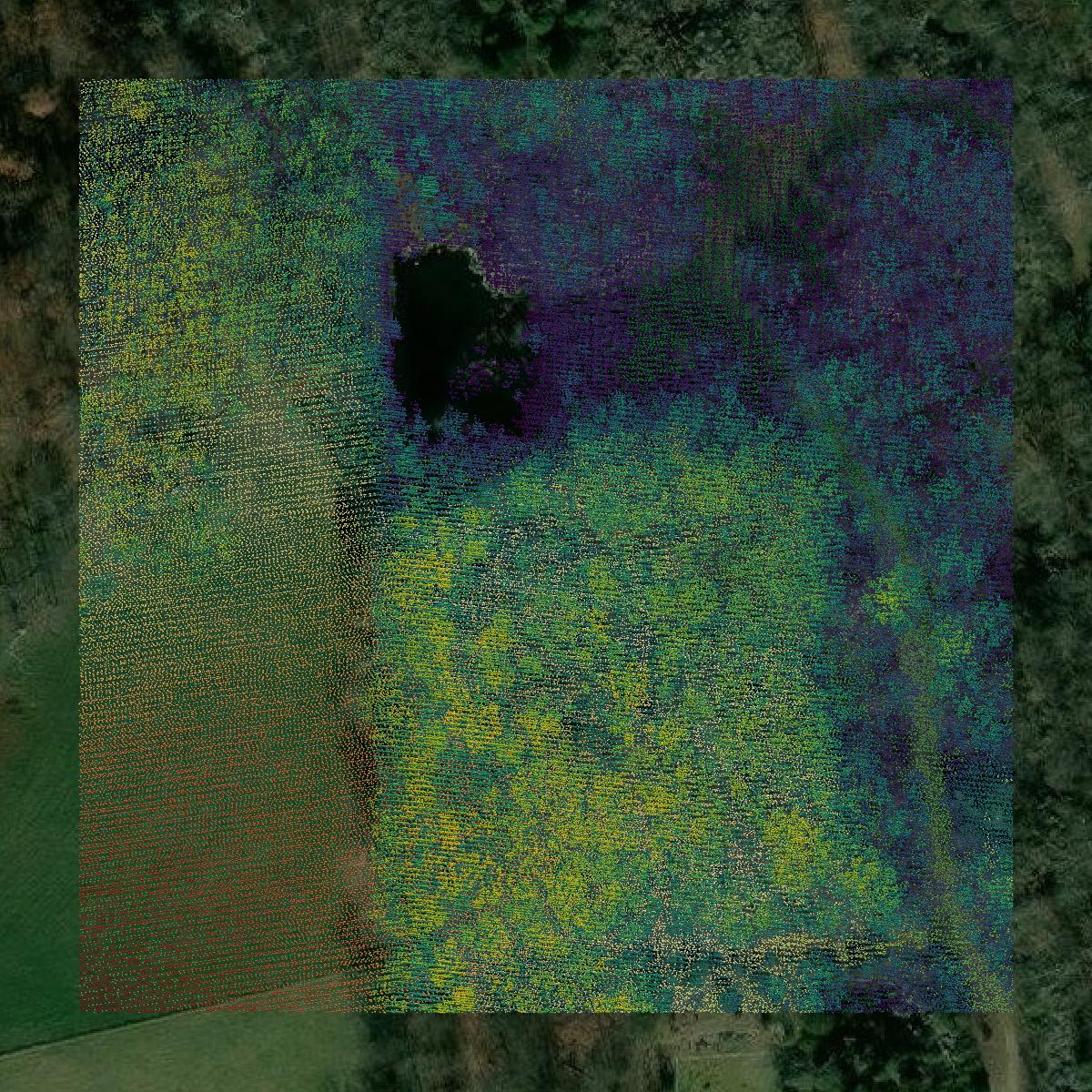This image shows a LiDAR point cloud in Lawrence County created using GIS data in Equator.