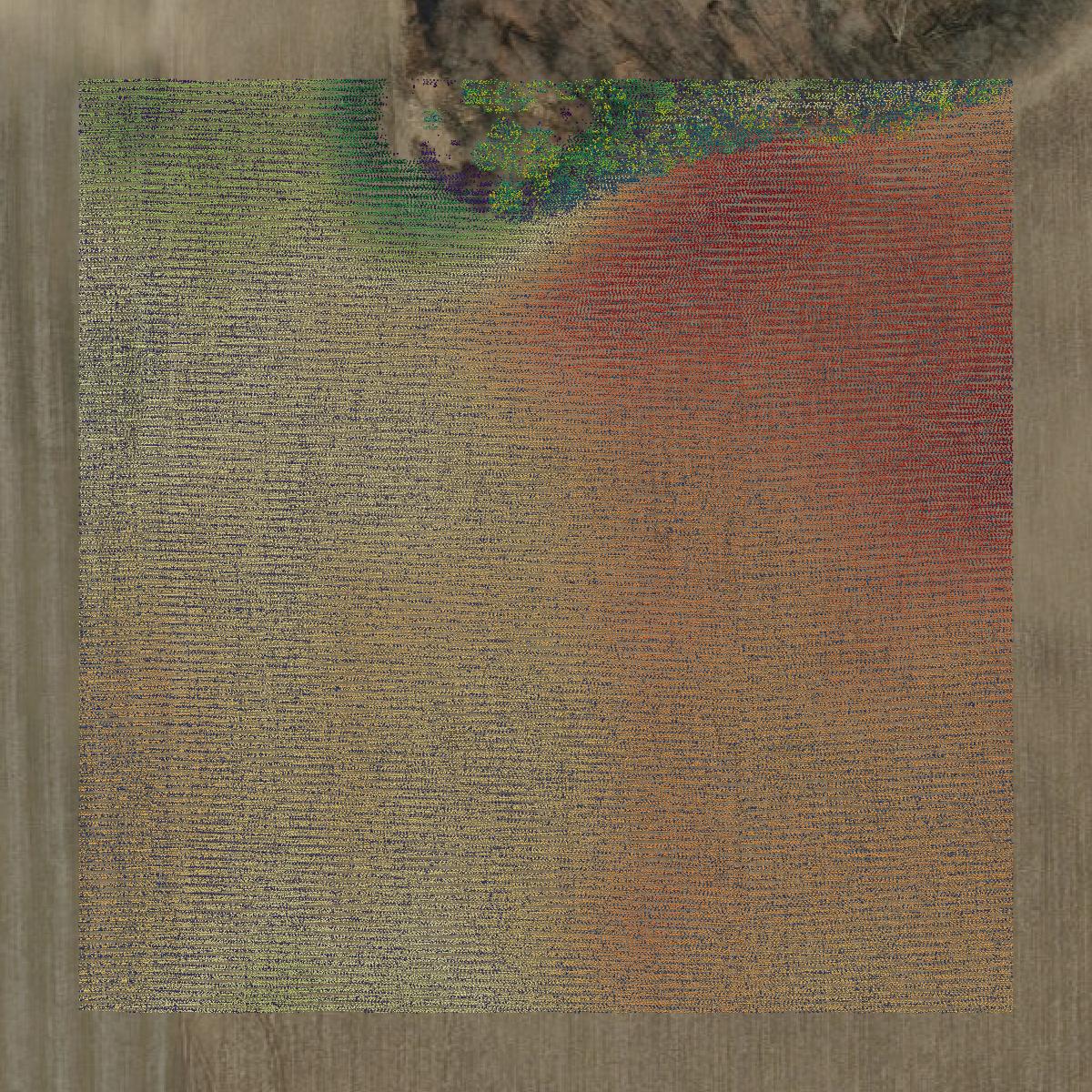 This image shows a LiDAR point cloud in Marshall County created using GIS data in Equator.