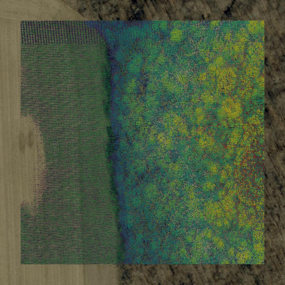 This image shows a LiDAR point cloud in Martin County created using GIS data in Equator.