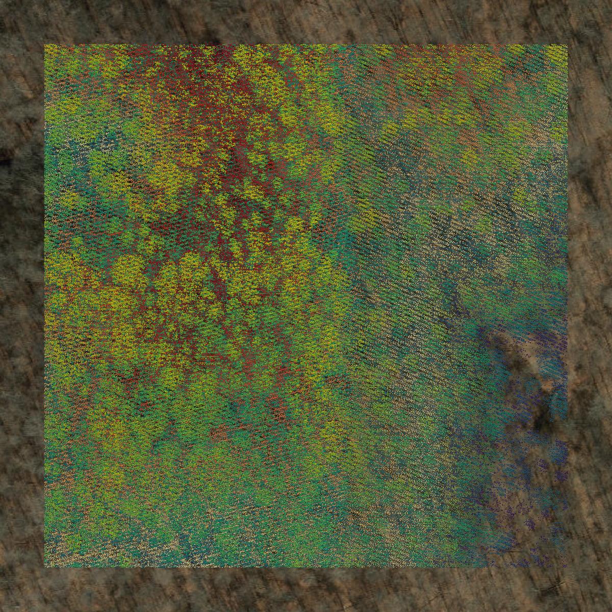 This image shows a LiDAR point cloud in Monroe County created using GIS data in Equator.