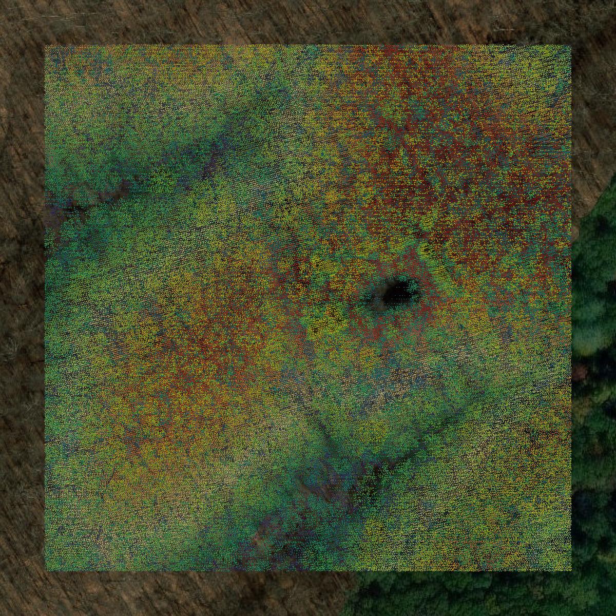 This image shows a LiDAR point cloud in Monroe County created using GIS data in Equator.