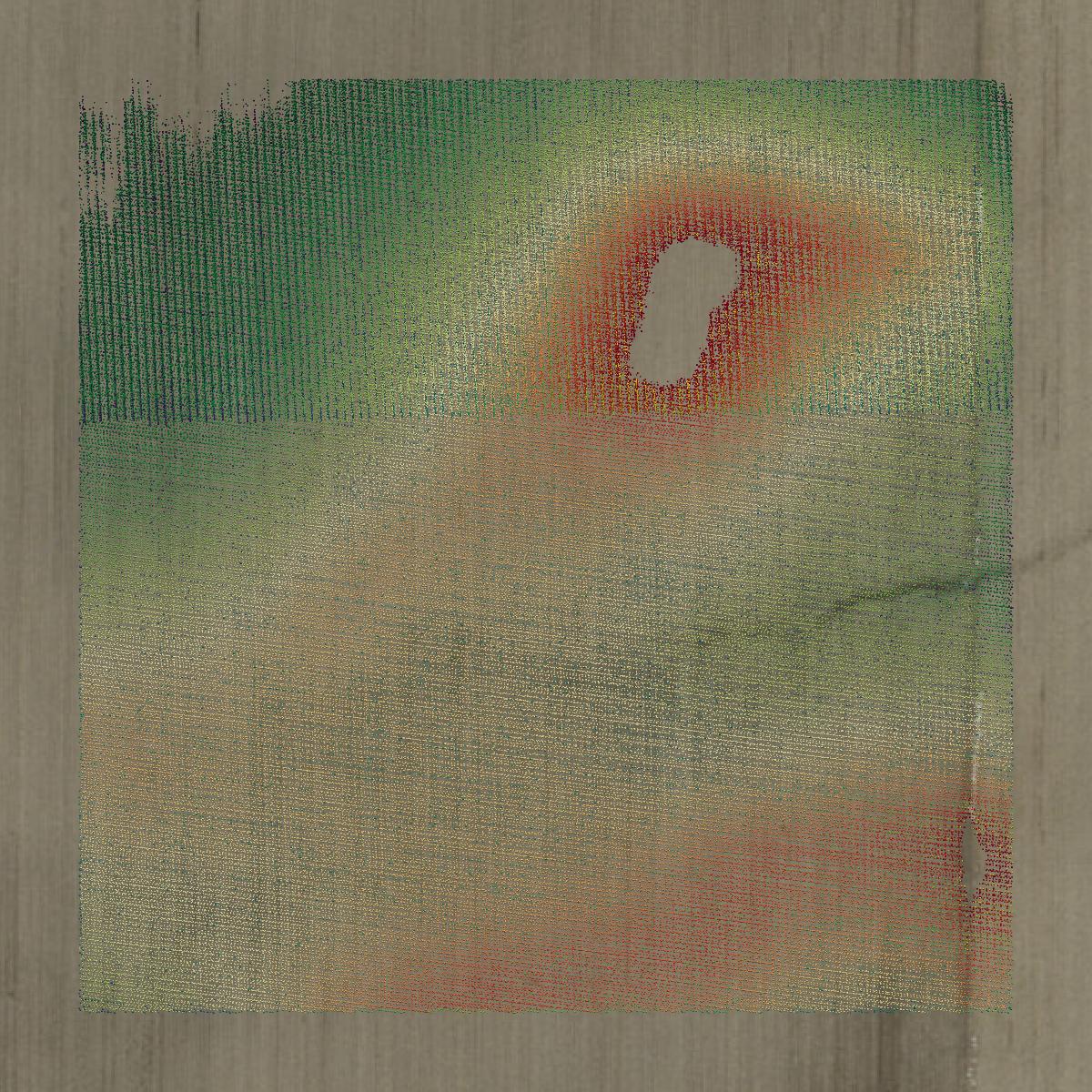 This image shows a LiDAR point cloud in Montgomery County created using GIS data in Equator.