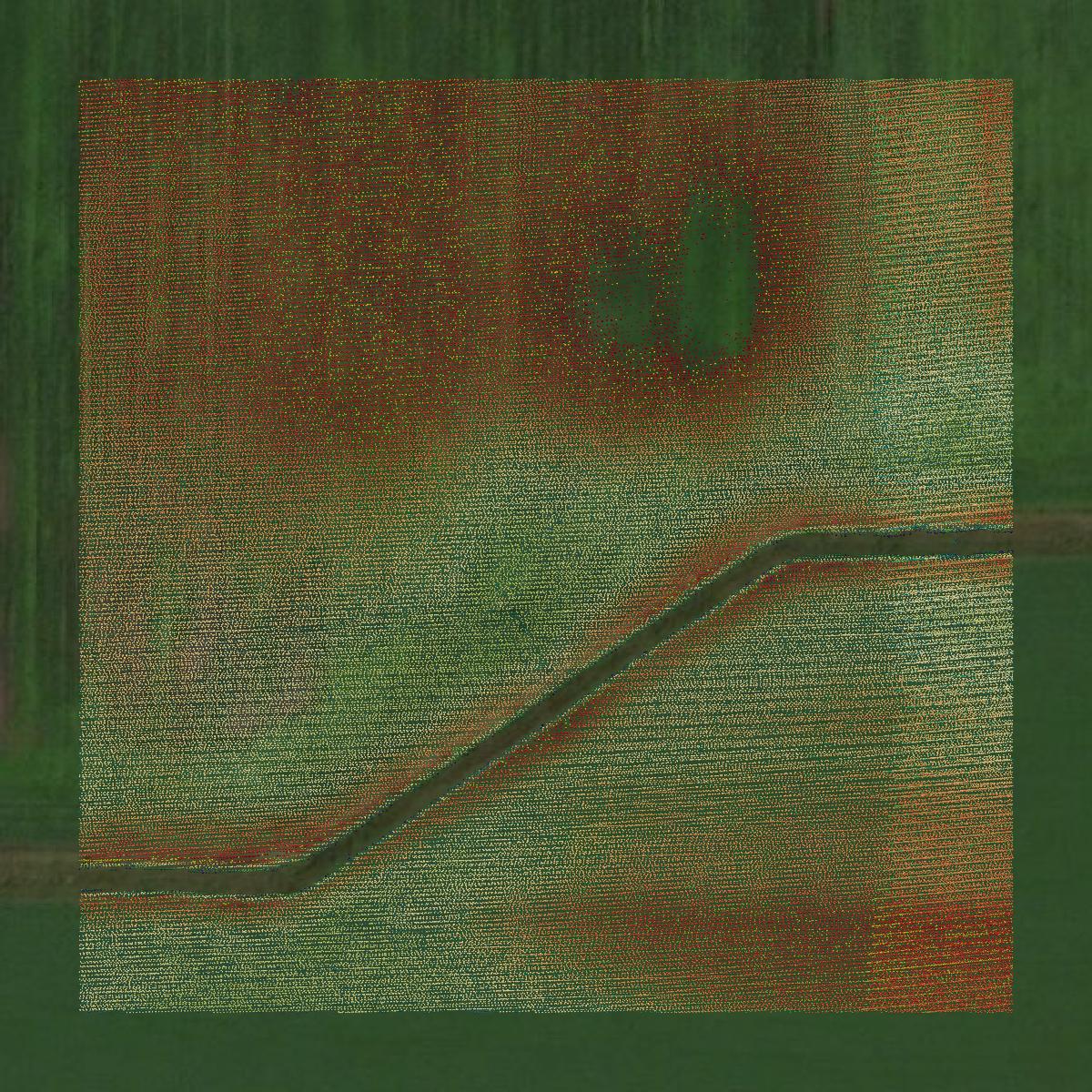 This image shows a LiDAR point cloud in Newton County created using GIS data in Equator.