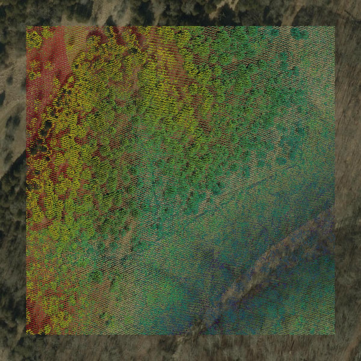 This image shows a LiDAR point cloud in Ohio County created using GIS data in Equator.