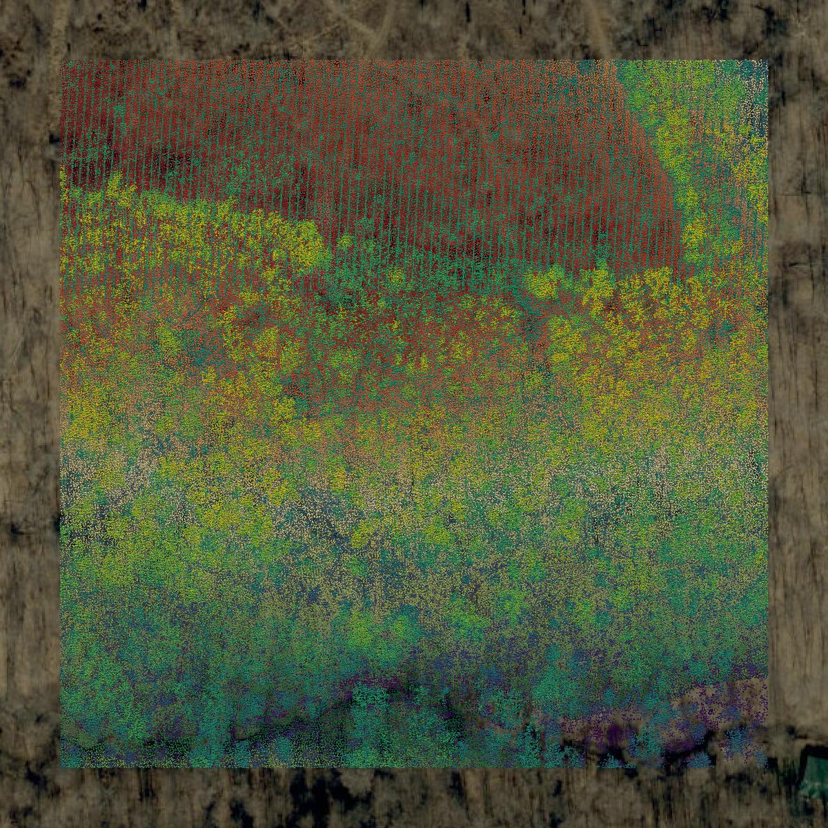 This image shows a LiDAR point cloud in Perry County created using GIS data in Equator.