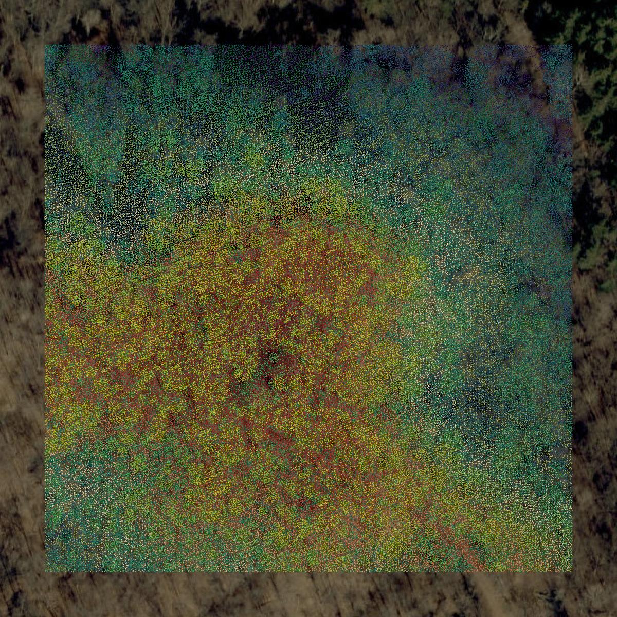 This image shows a LiDAR point cloud in Perry County created using GIS data in Equator.