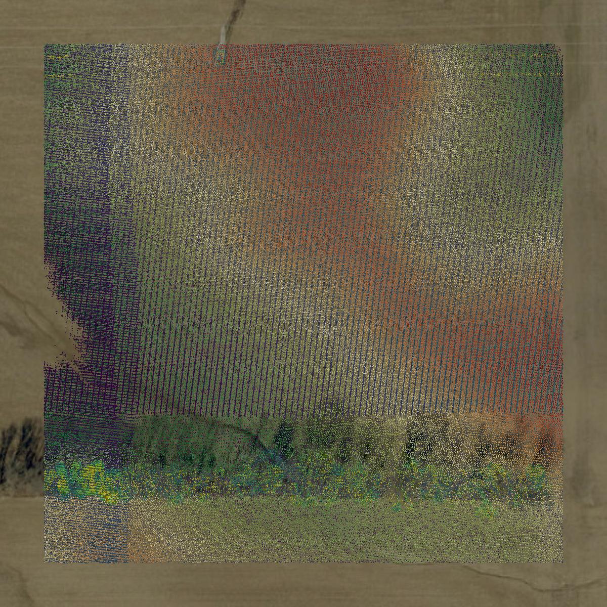 This image shows a LiDAR point cloud in Pike County created using GIS data in Equator.