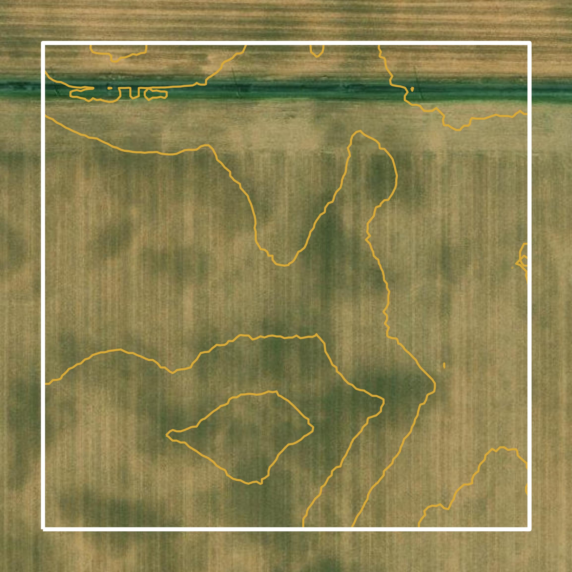 This image shows a contour map in Randolph County created using GIS data in Equator.