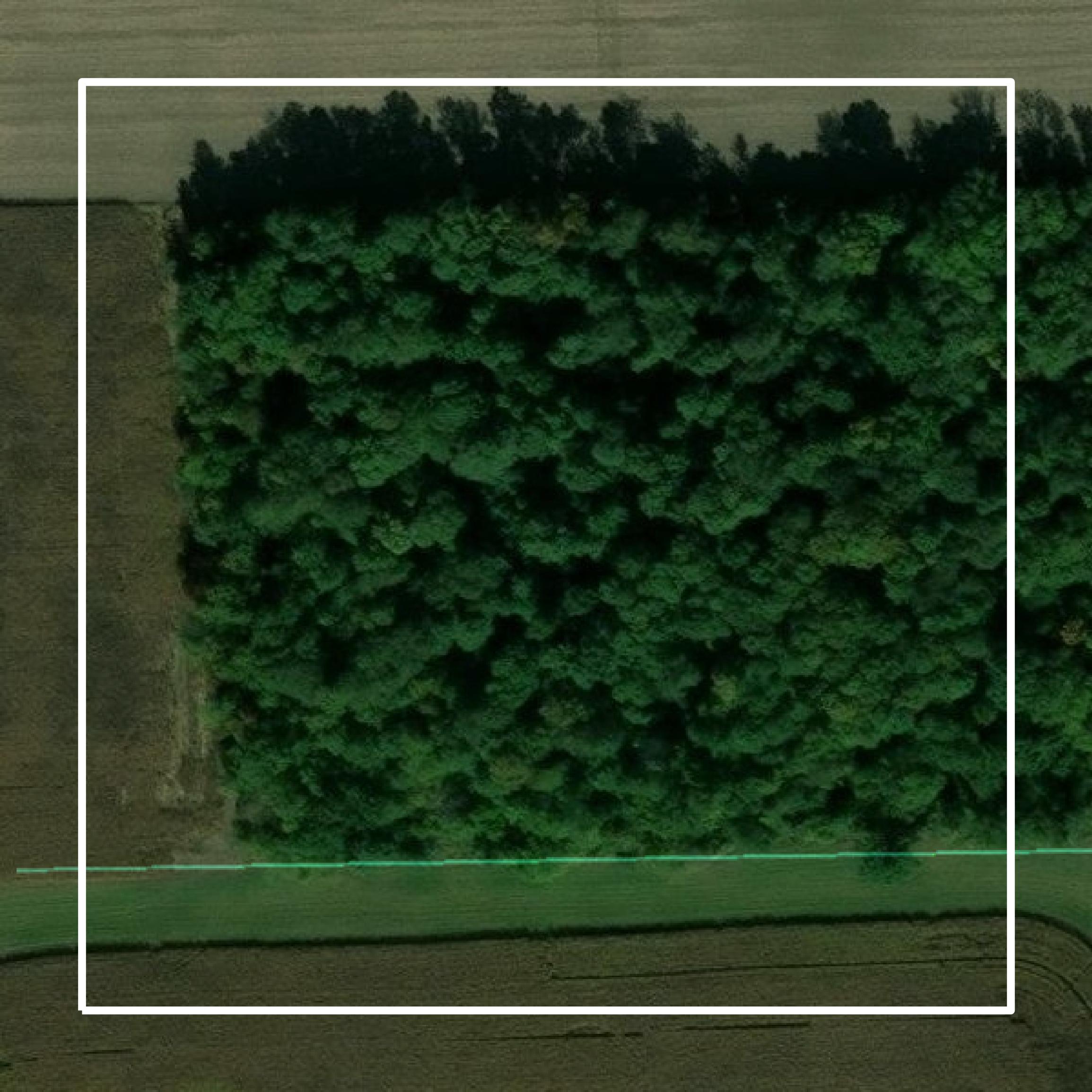 This image shows parcel and building data in Randolph County created using GIS data in Equator.