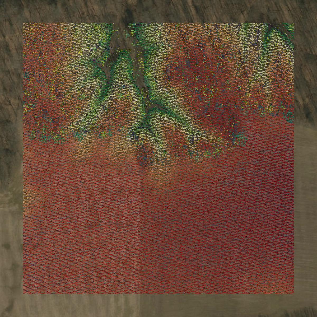 This image shows a LiDAR point cloud in Ripley County created using GIS data in Equator.