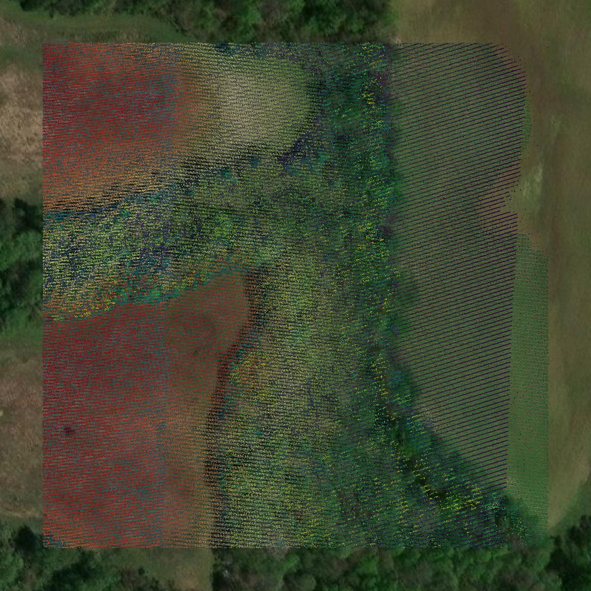 This image shows a LiDAR point cloud in Scott County created using GIS data in Equator.