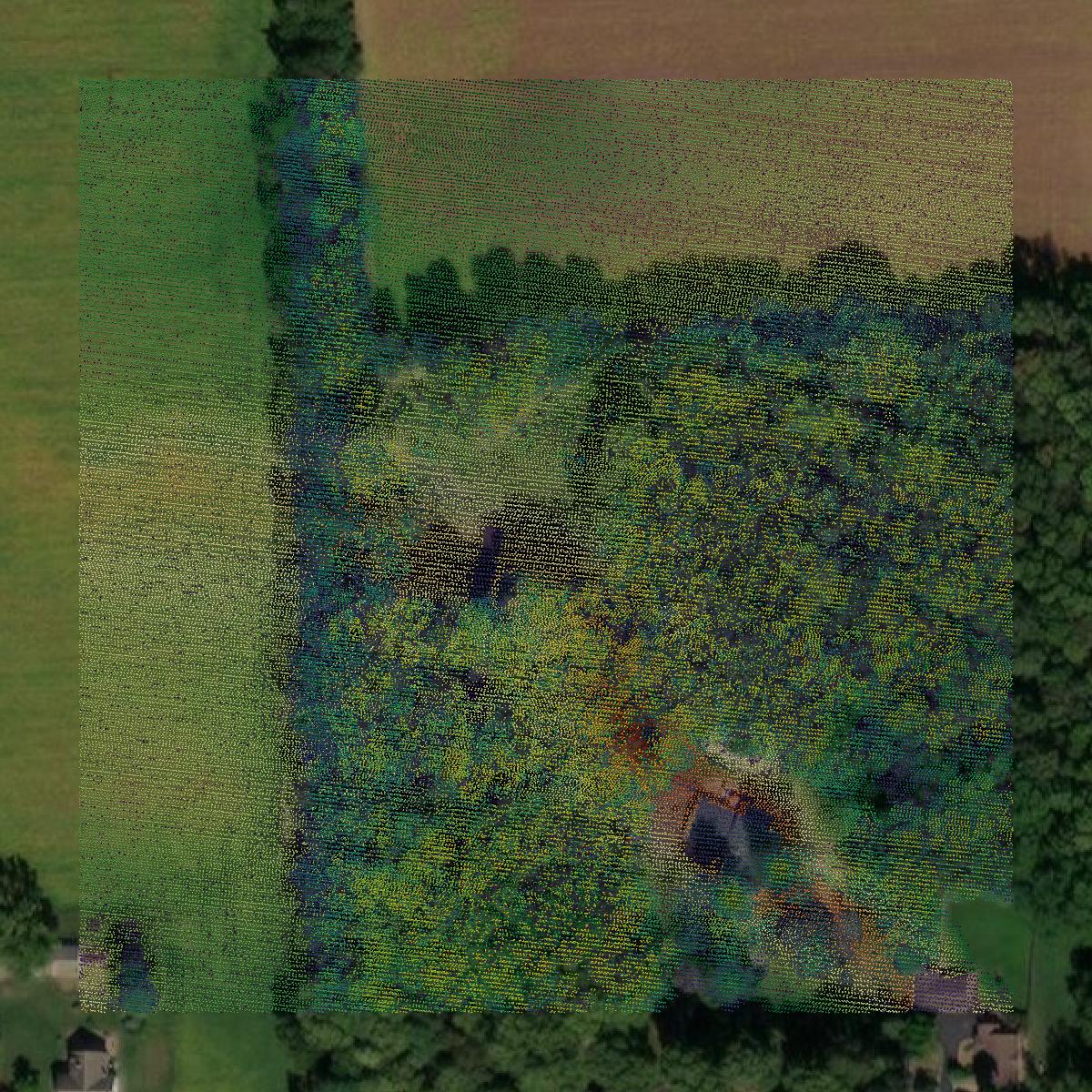 This image shows a LiDAR point cloud in Shelby County created using GIS data in Equator.