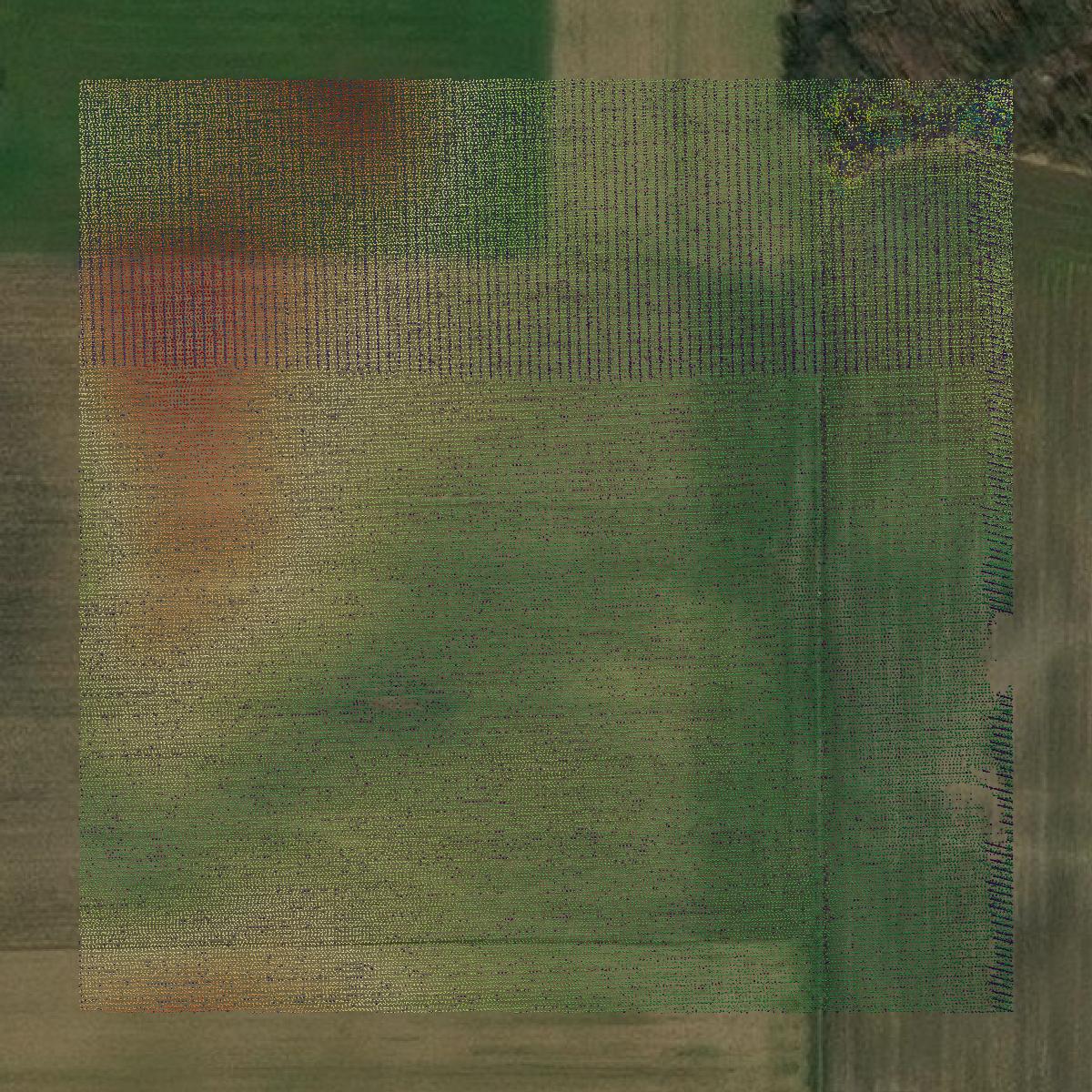 This image shows a LiDAR point cloud in St. Joseph County created using GIS data in Equator.