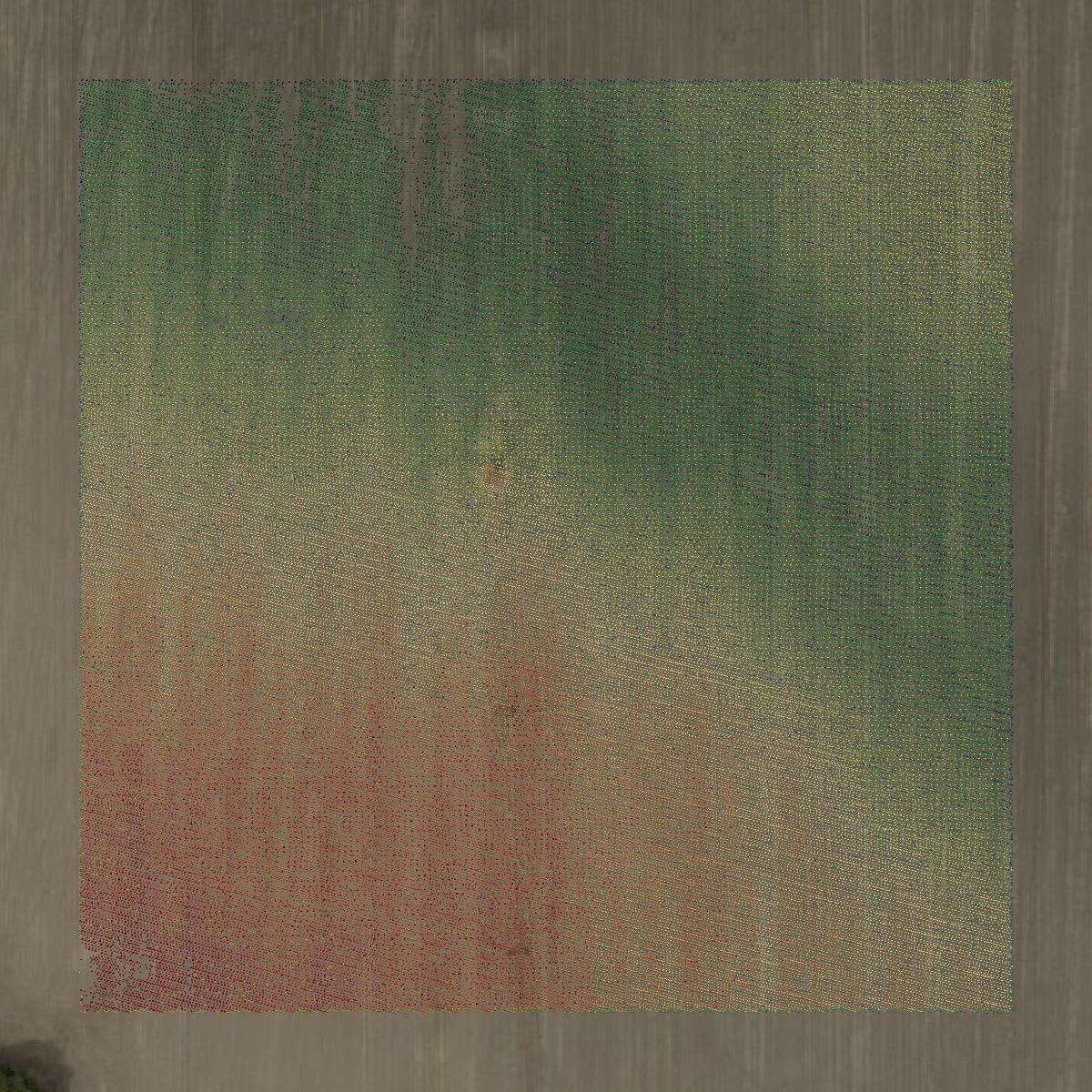 This image shows a LiDAR point cloud in Starke County created using GIS data in Equator.