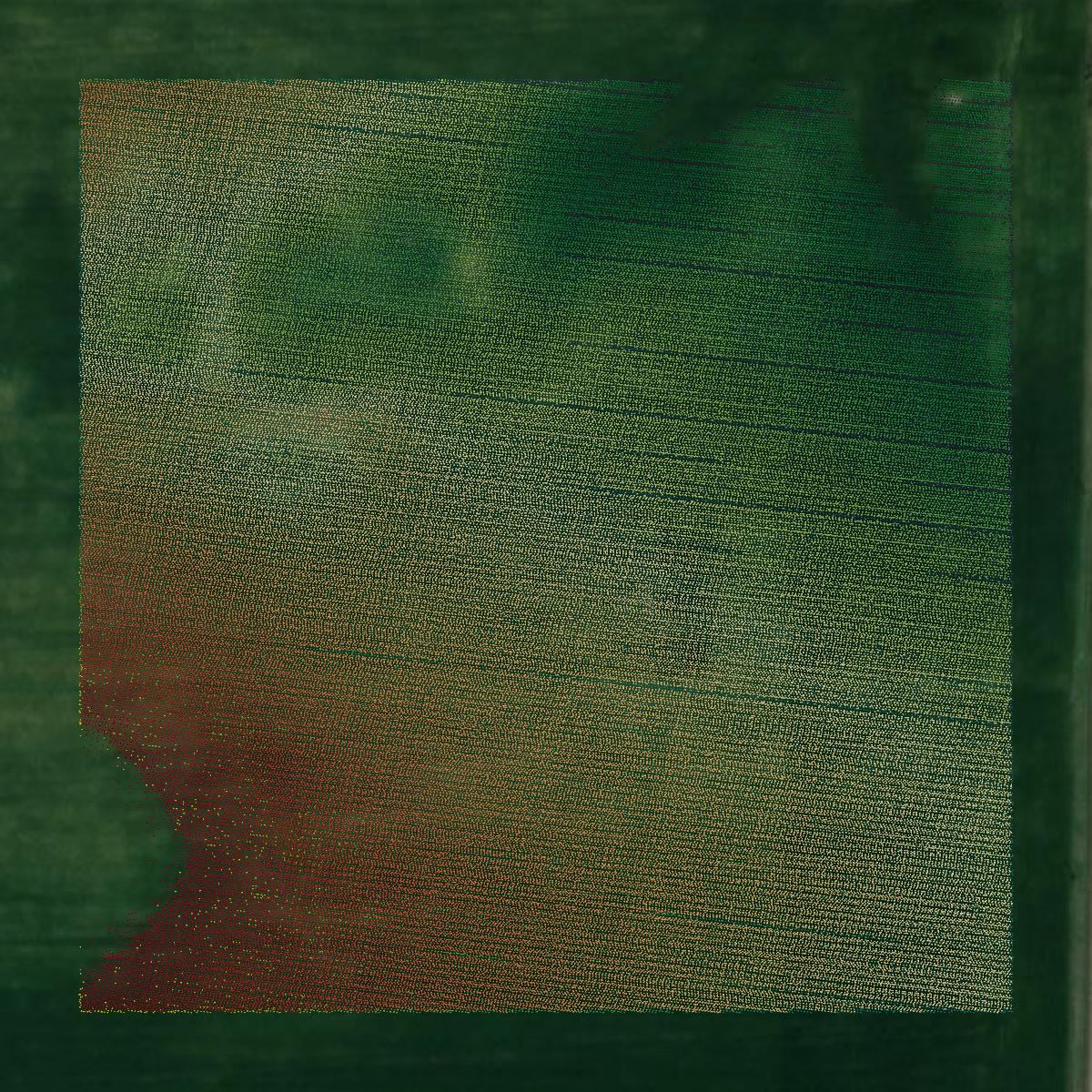 This image shows a LiDAR point cloud in Sullivan County created using GIS data in Equator.