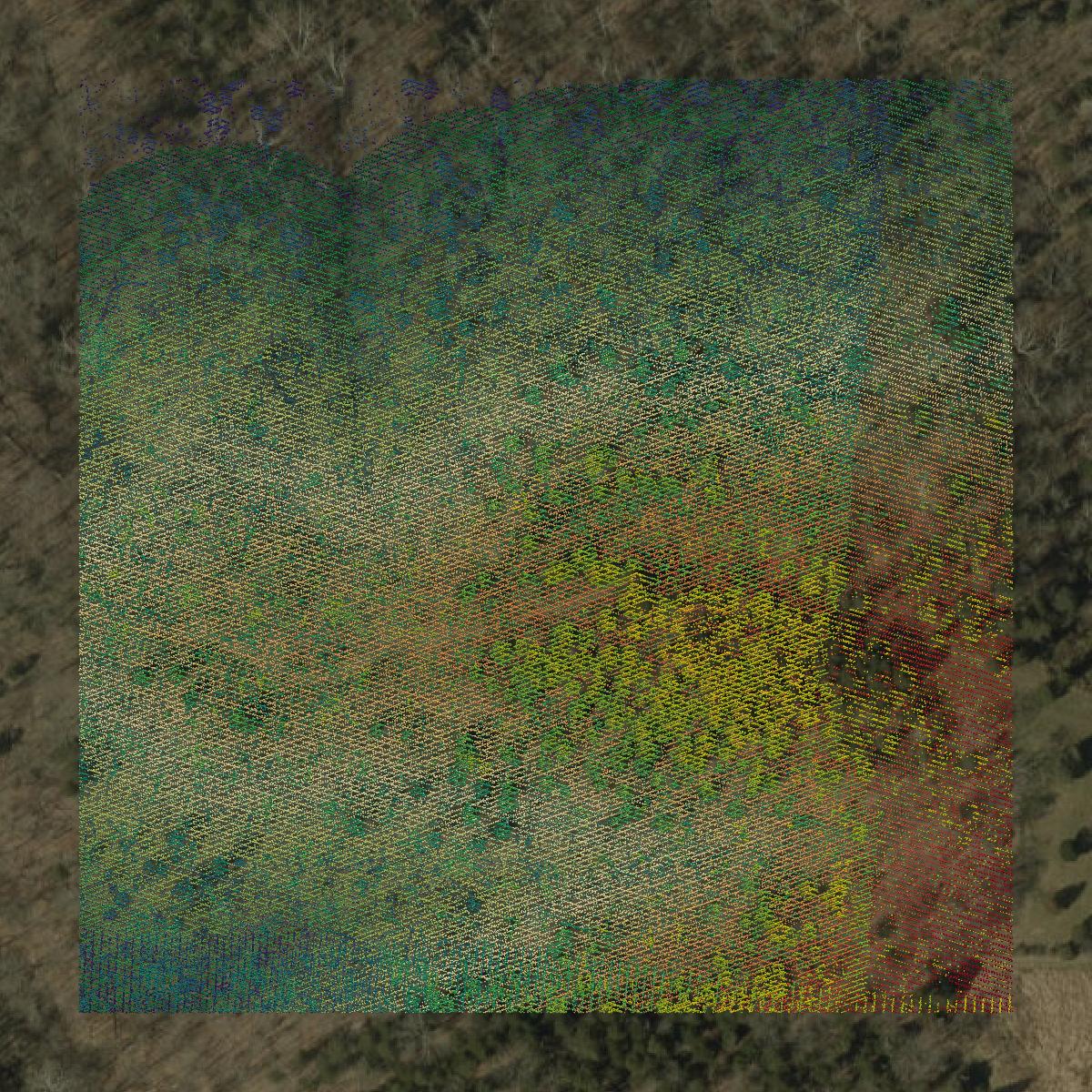 This image shows a LiDAR point cloud in Switzerland County created using GIS data in Equator.