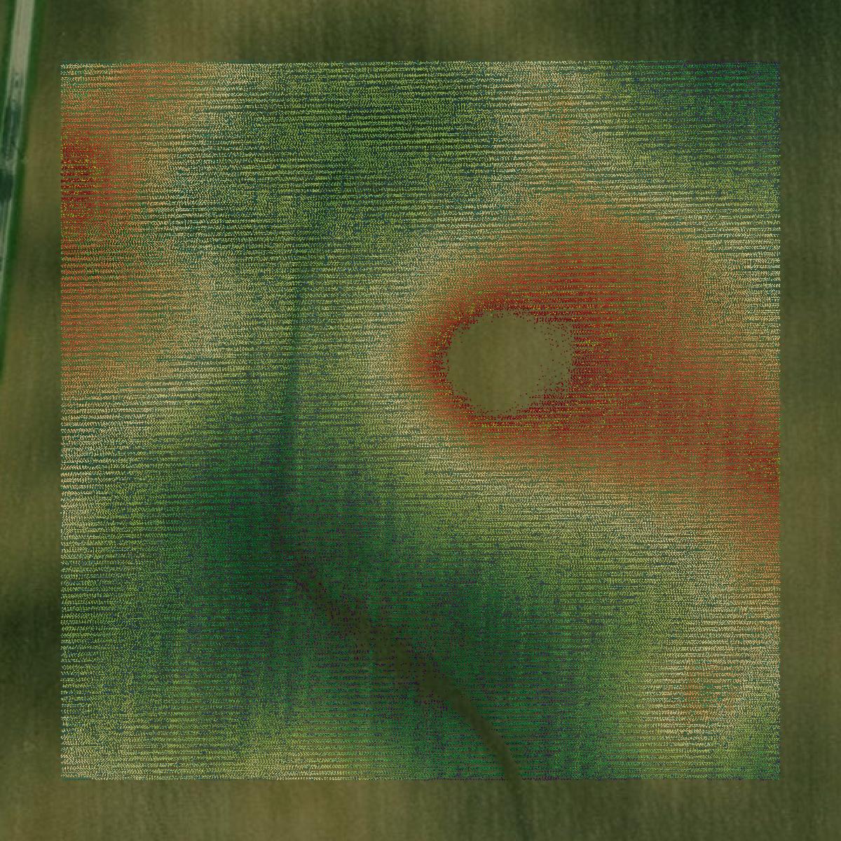 This image shows a LiDAR point cloud in Tipton County created using GIS data in Equator.