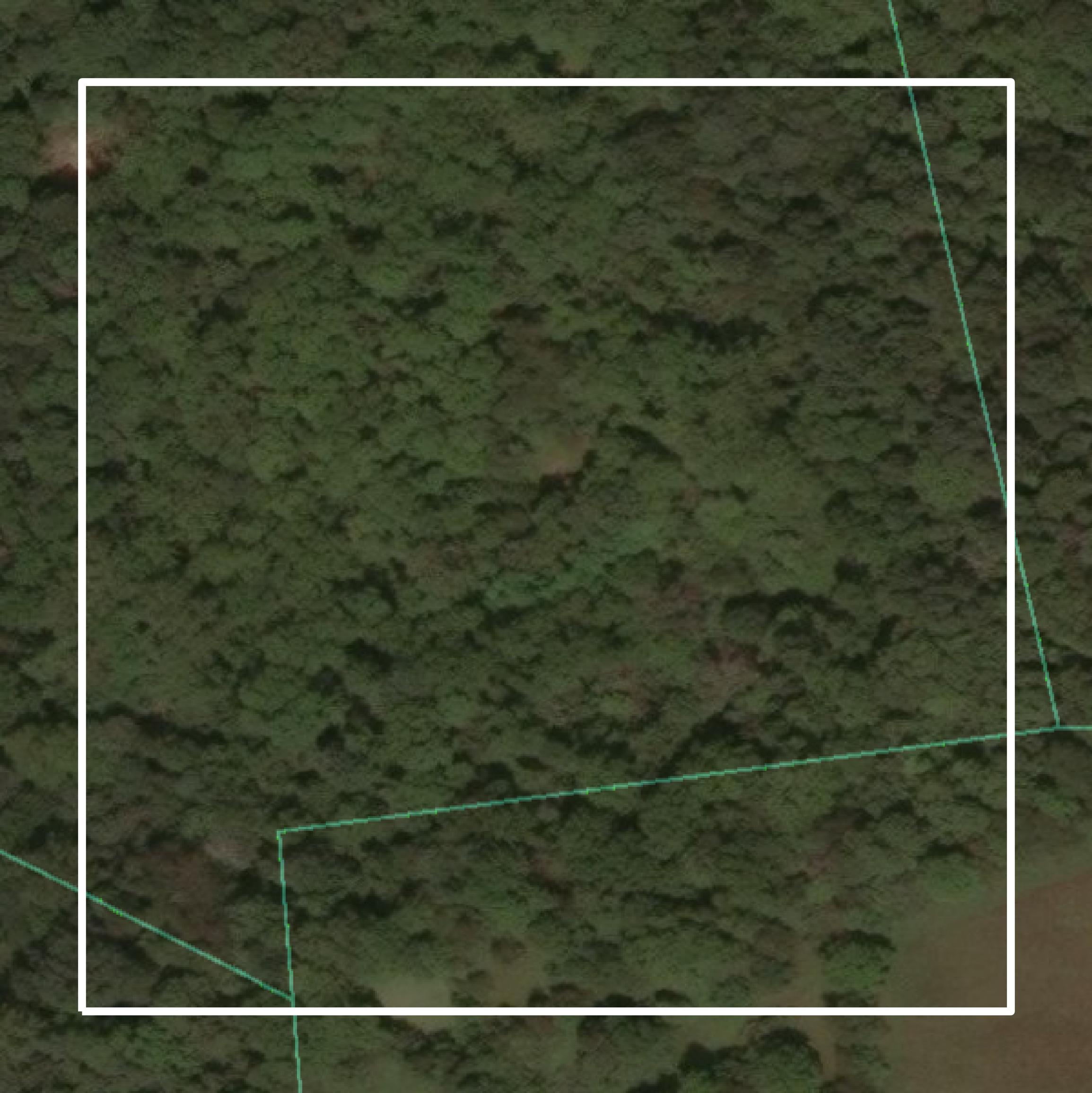 This image shows parcel and building data in Union County created using GIS data in Equator.