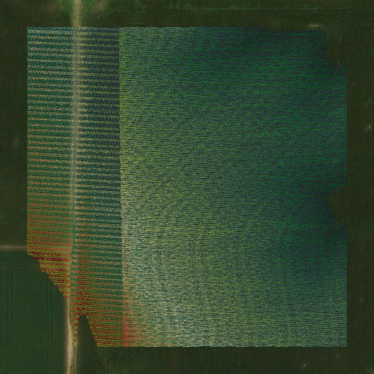 This image shows a LiDAR point cloud in Vanderburgh County created using GIS data in Equator.