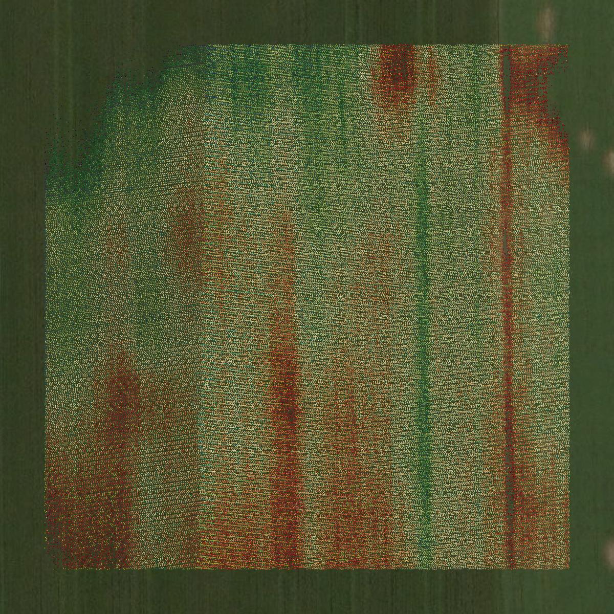 This image shows a LiDAR point cloud in Wabash County created using GIS data in Equator.