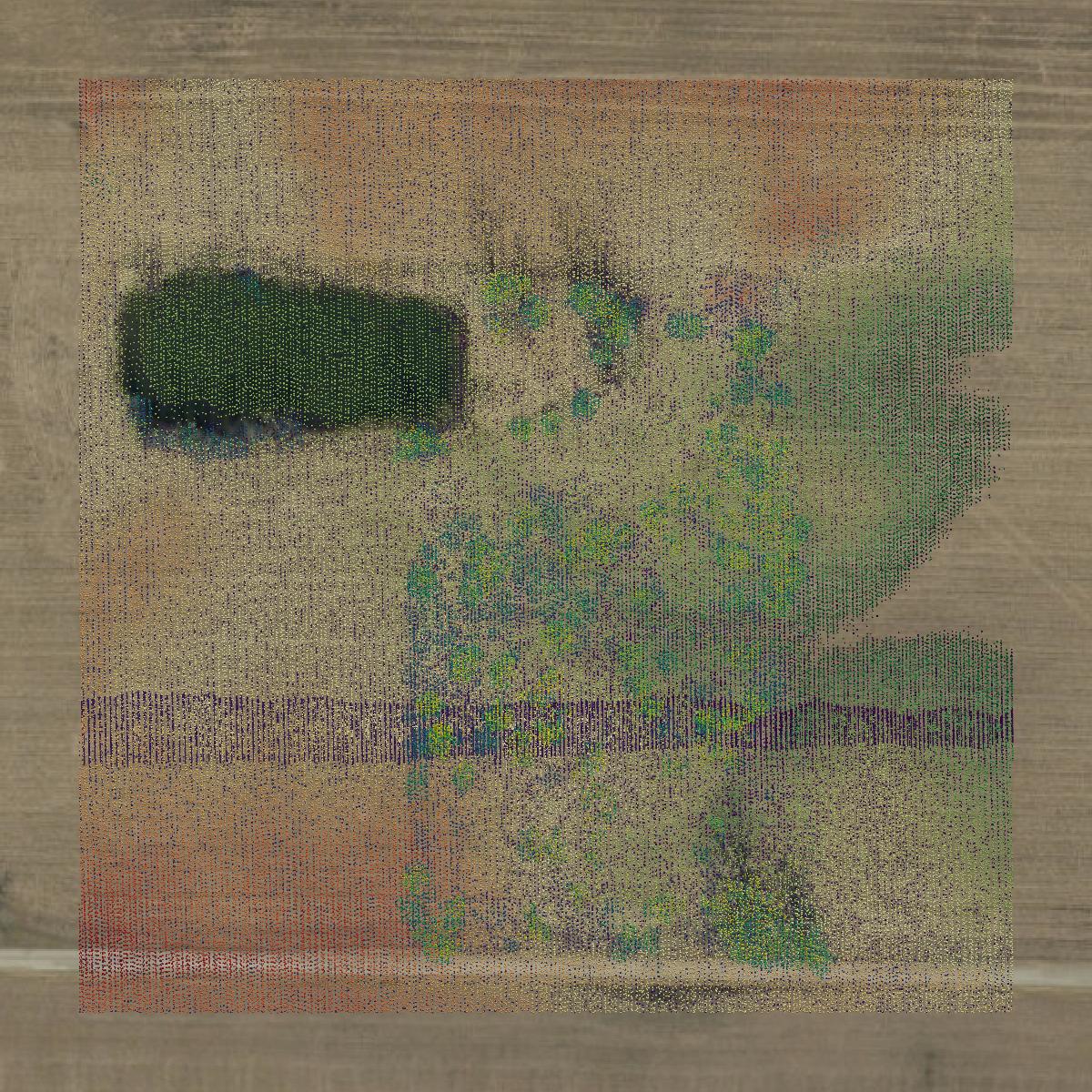This image shows a LiDAR point cloud in Wayne County created using GIS data in Equator.
