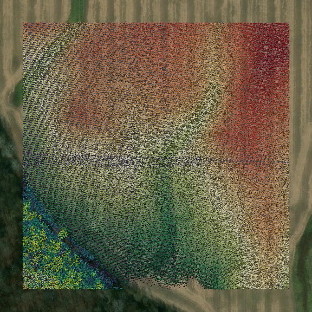 This image shows a LiDAR point cloud in Wayne County created using GIS data in Equator.