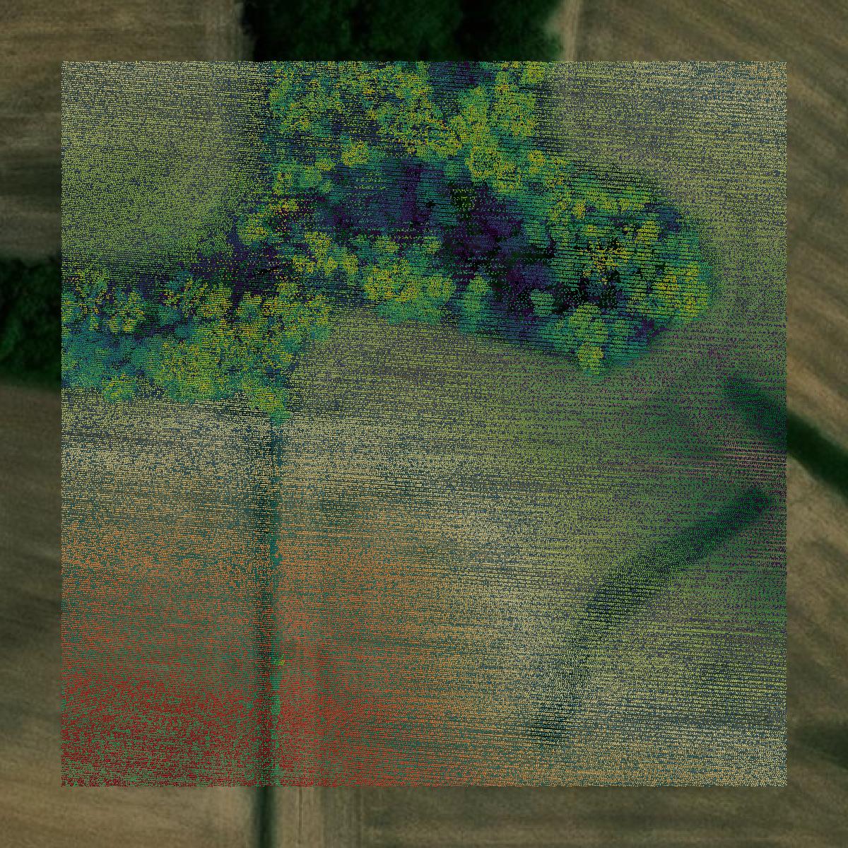 This image shows a LiDAR point cloud in Allamakee County created using GIS data in Equator.