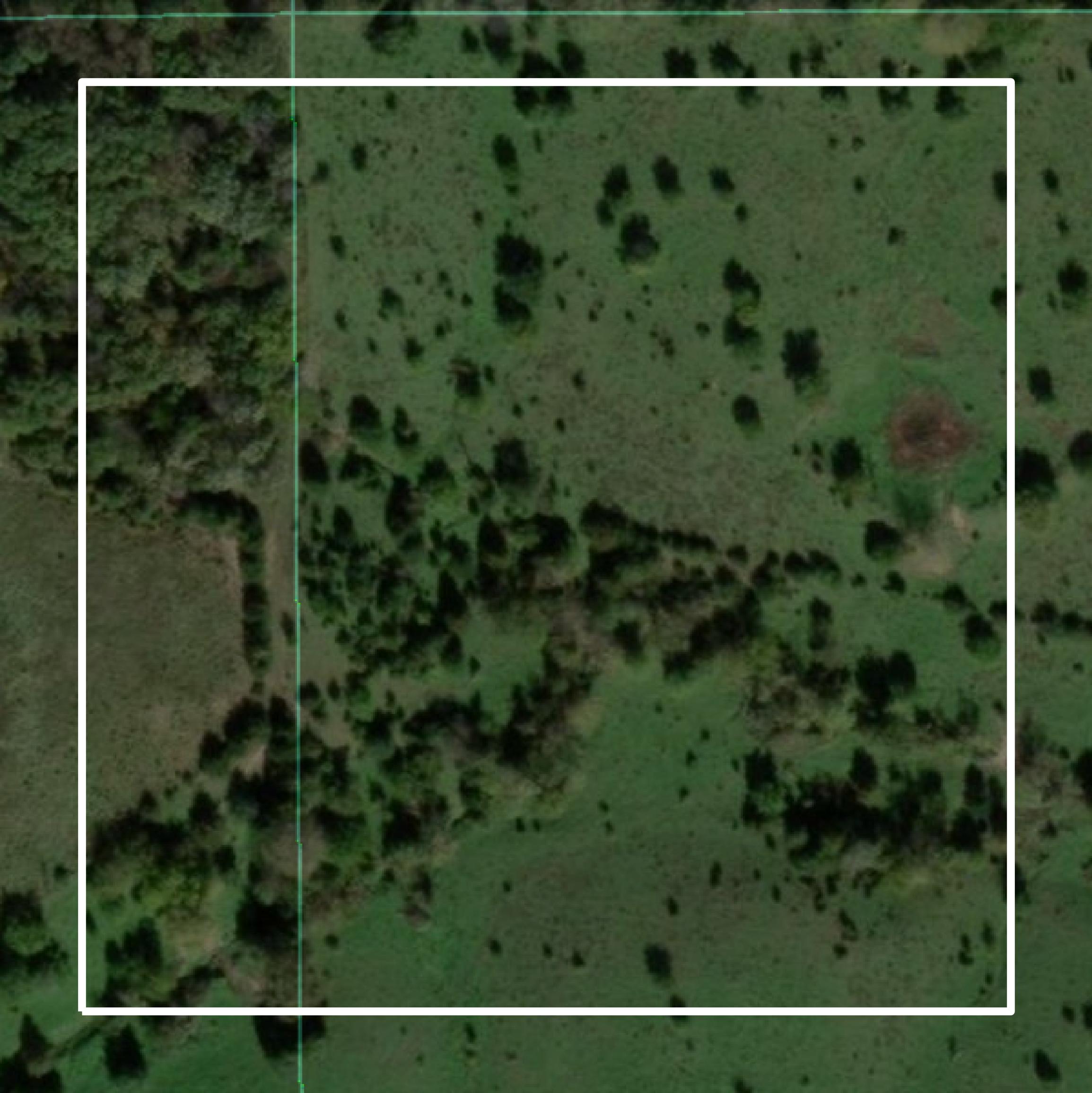This image shows parcel and building data in Appanoose County created using GIS data in Equator.
