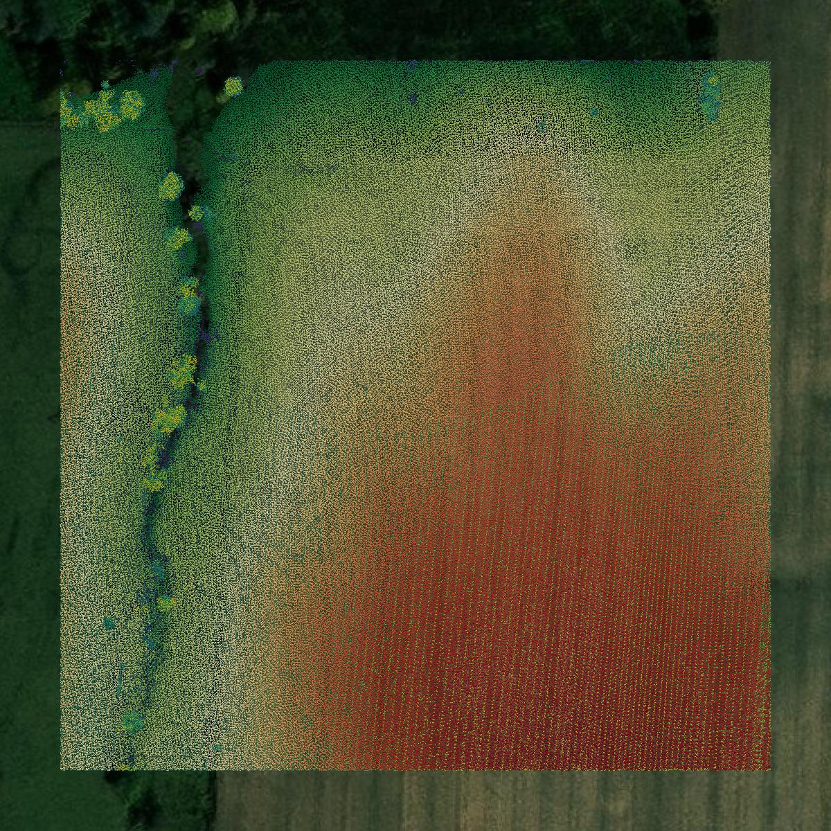 This image shows a LiDAR point cloud in Appanoose County created using GIS data in Equator.