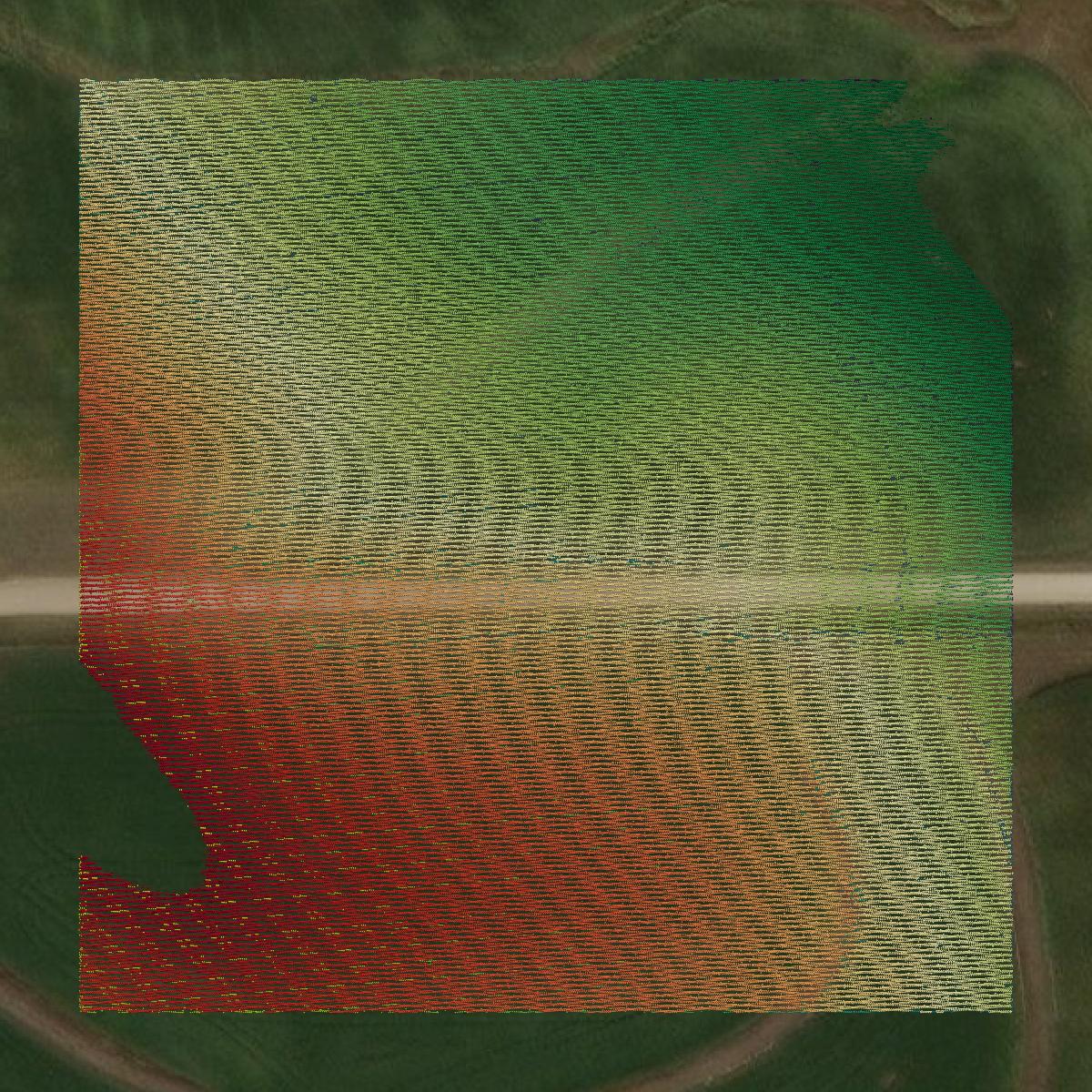 This image shows a LiDAR point cloud in Audubon County created using GIS data in Equator.