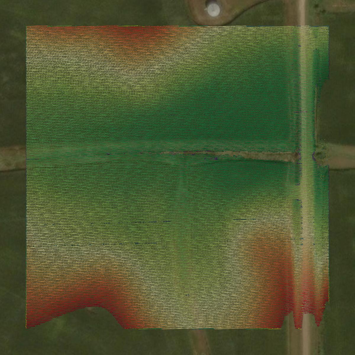 This image shows a LiDAR point cloud in Audubon County created using GIS data in Equator.