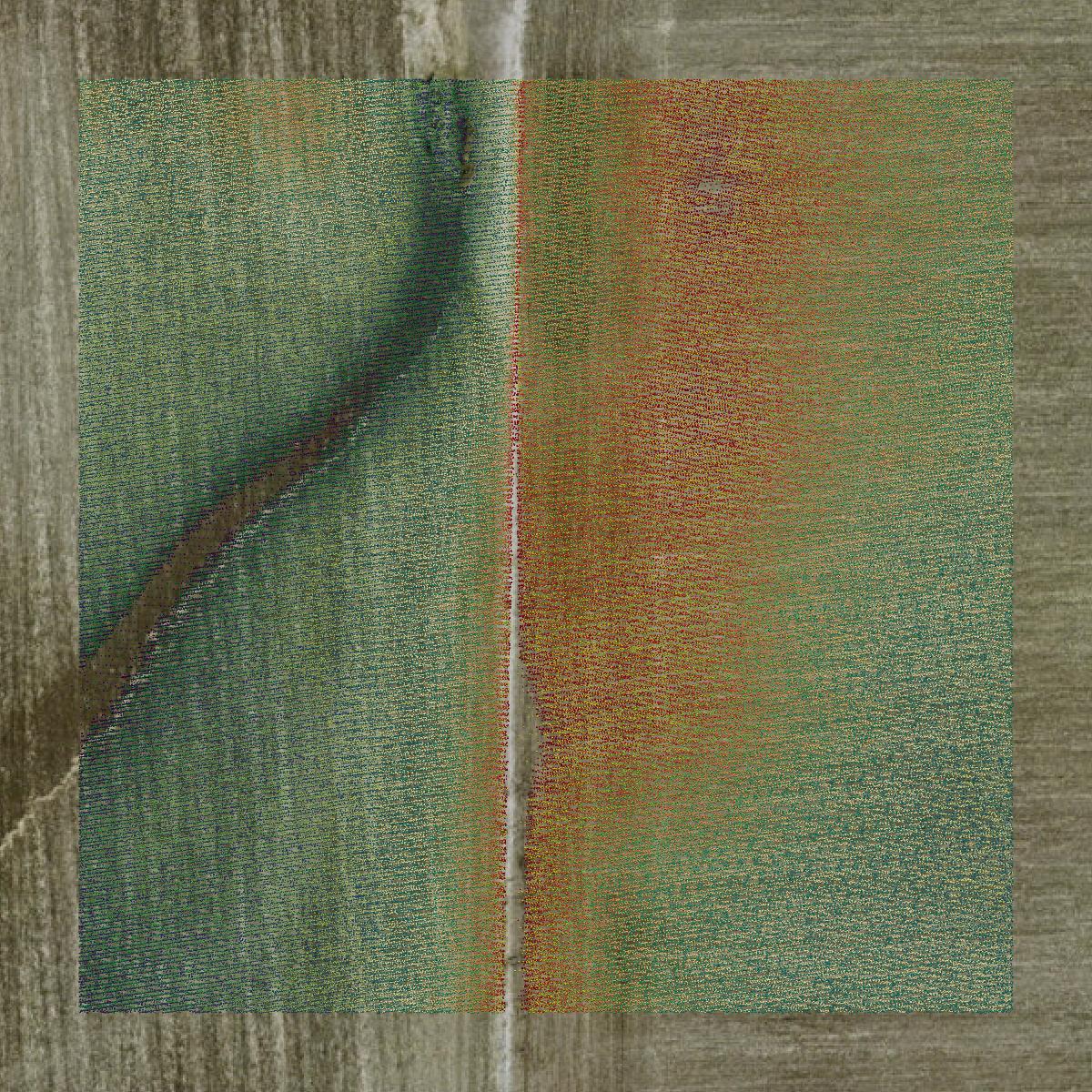 This image shows a LiDAR point cloud in Boone County created using GIS data in Equator.